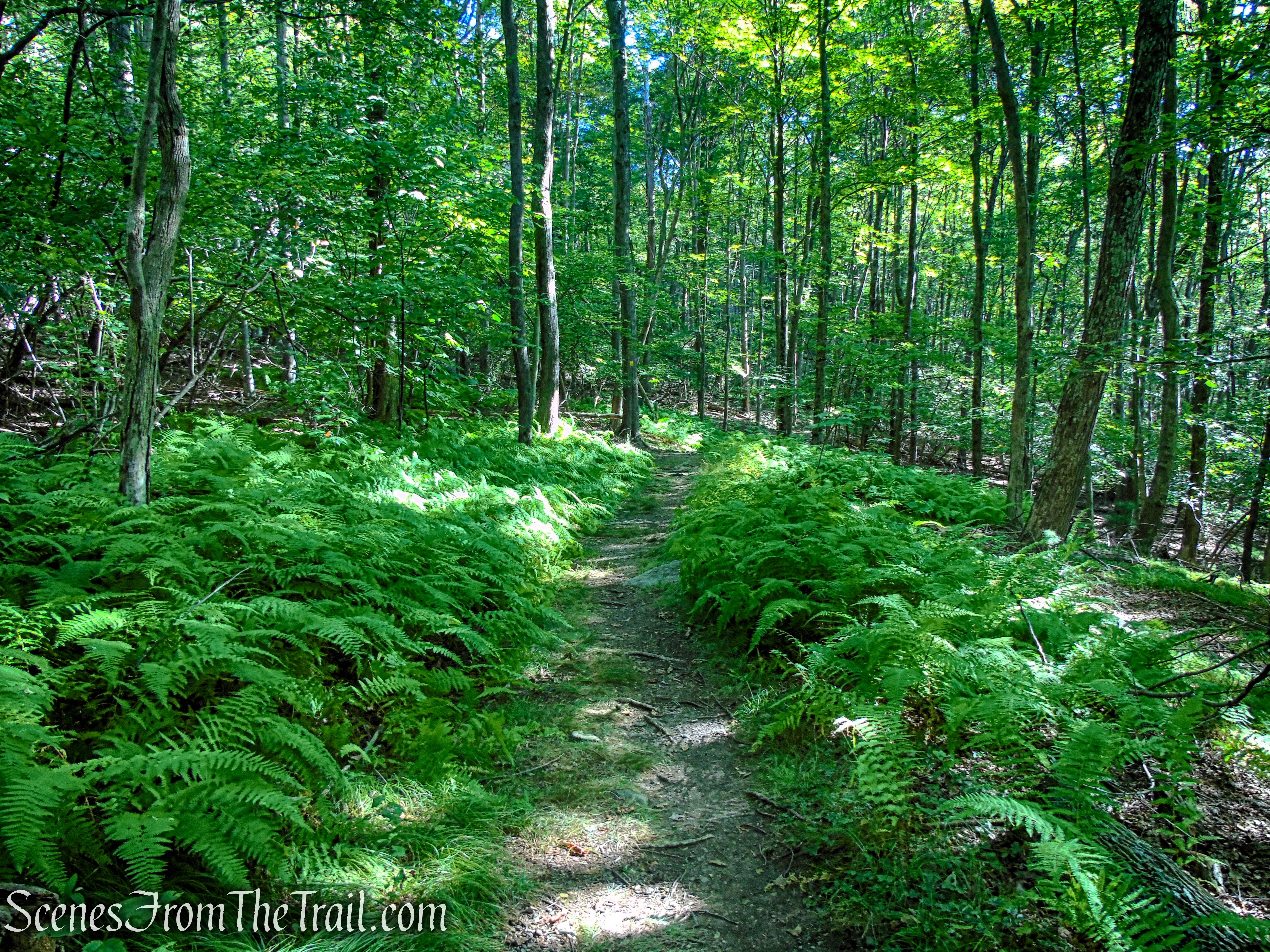 King’s Lane - Mohonk Preserve
