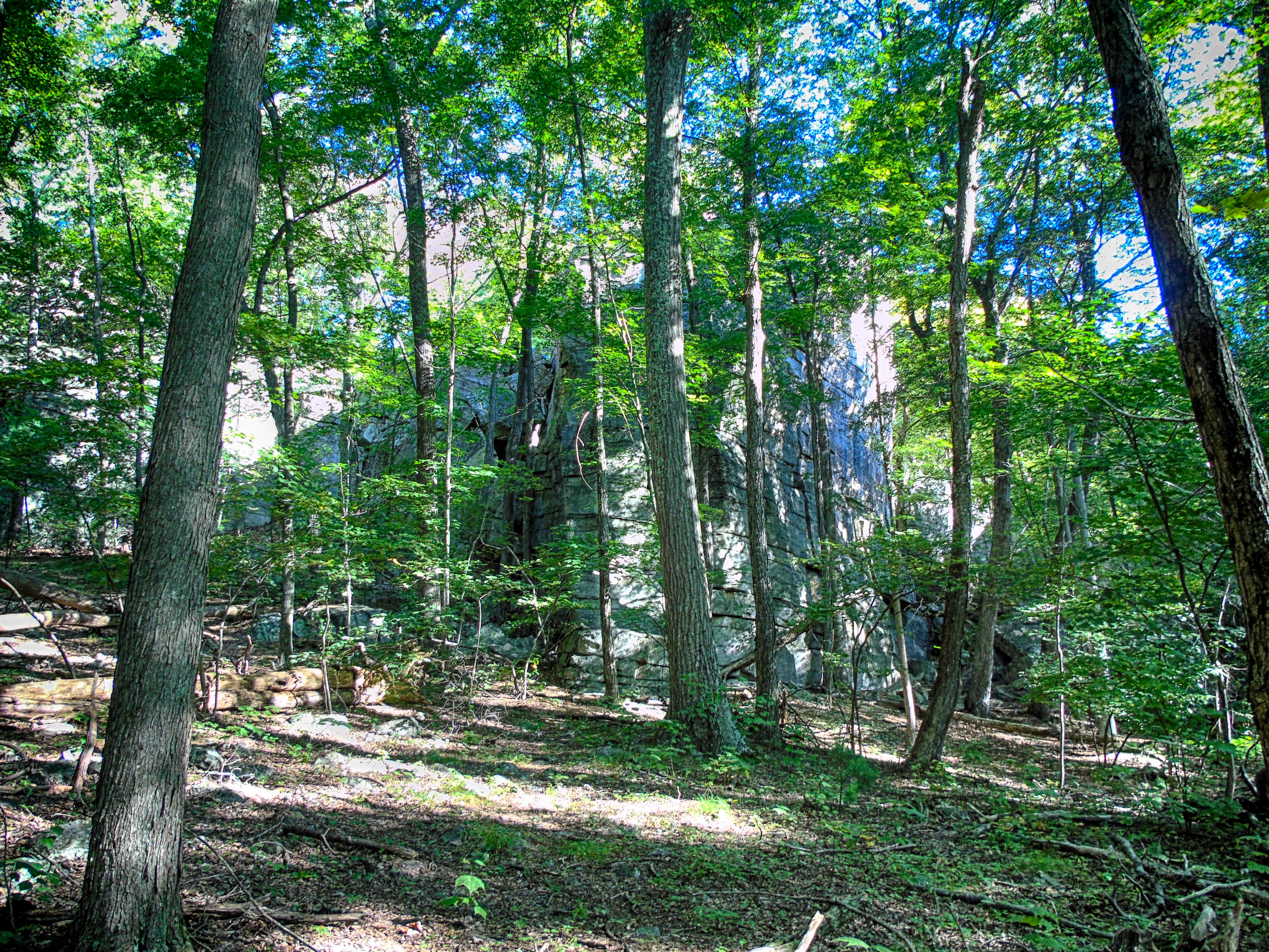King’s Lane - Mohonk Preserve