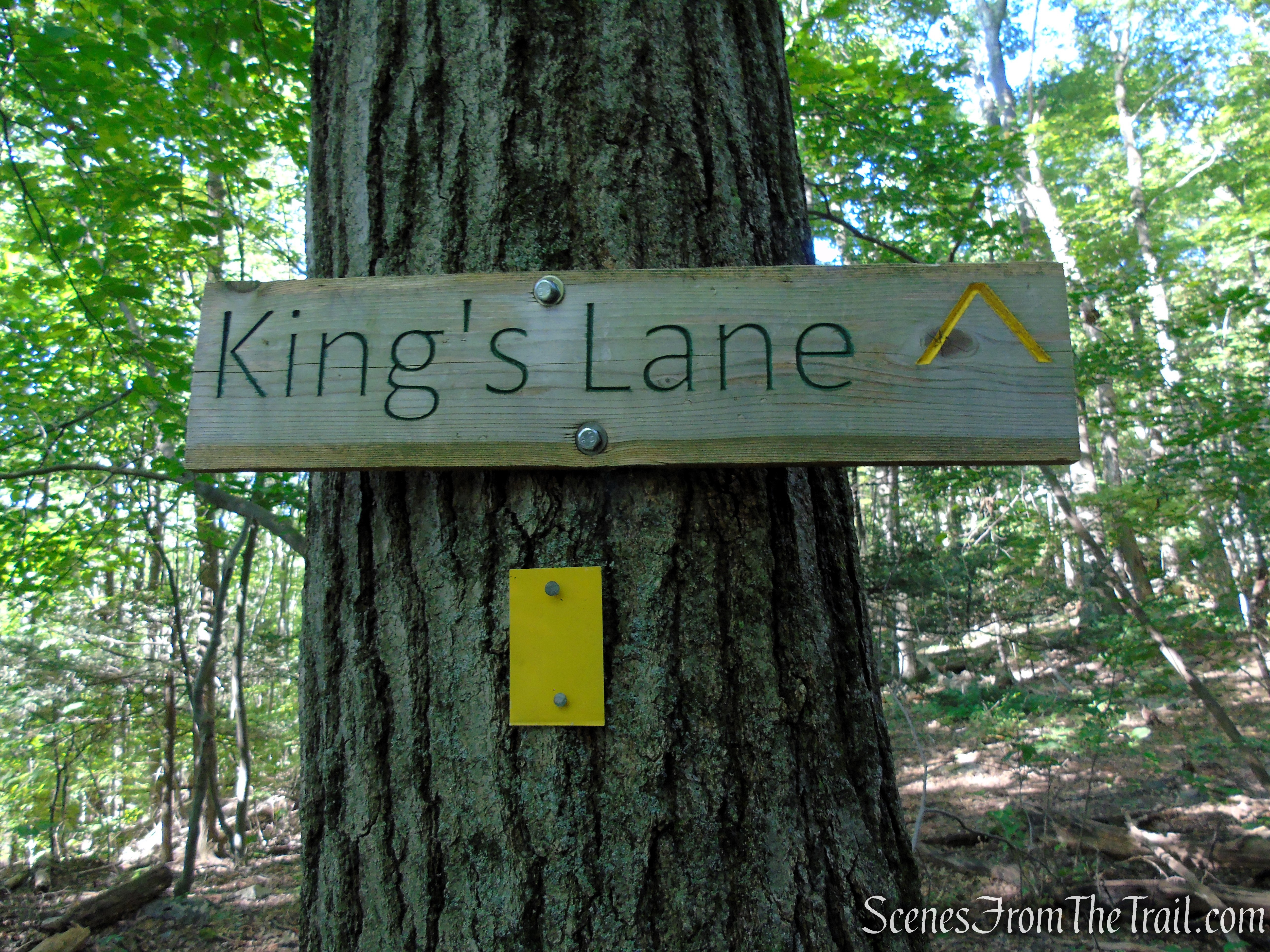 King’s Lane - Mohonk Preserve