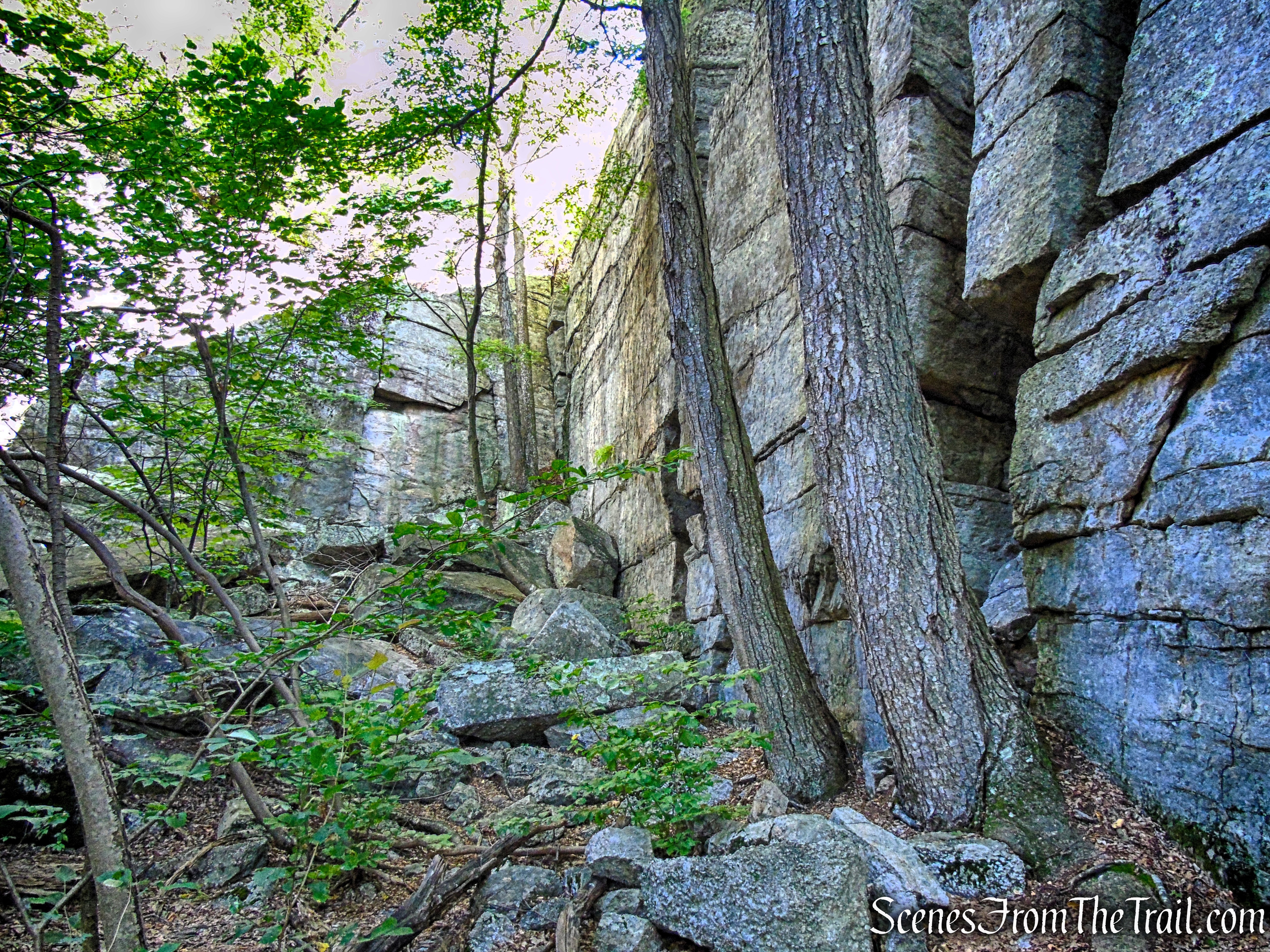 King’s Lane - Mohonk Preserve