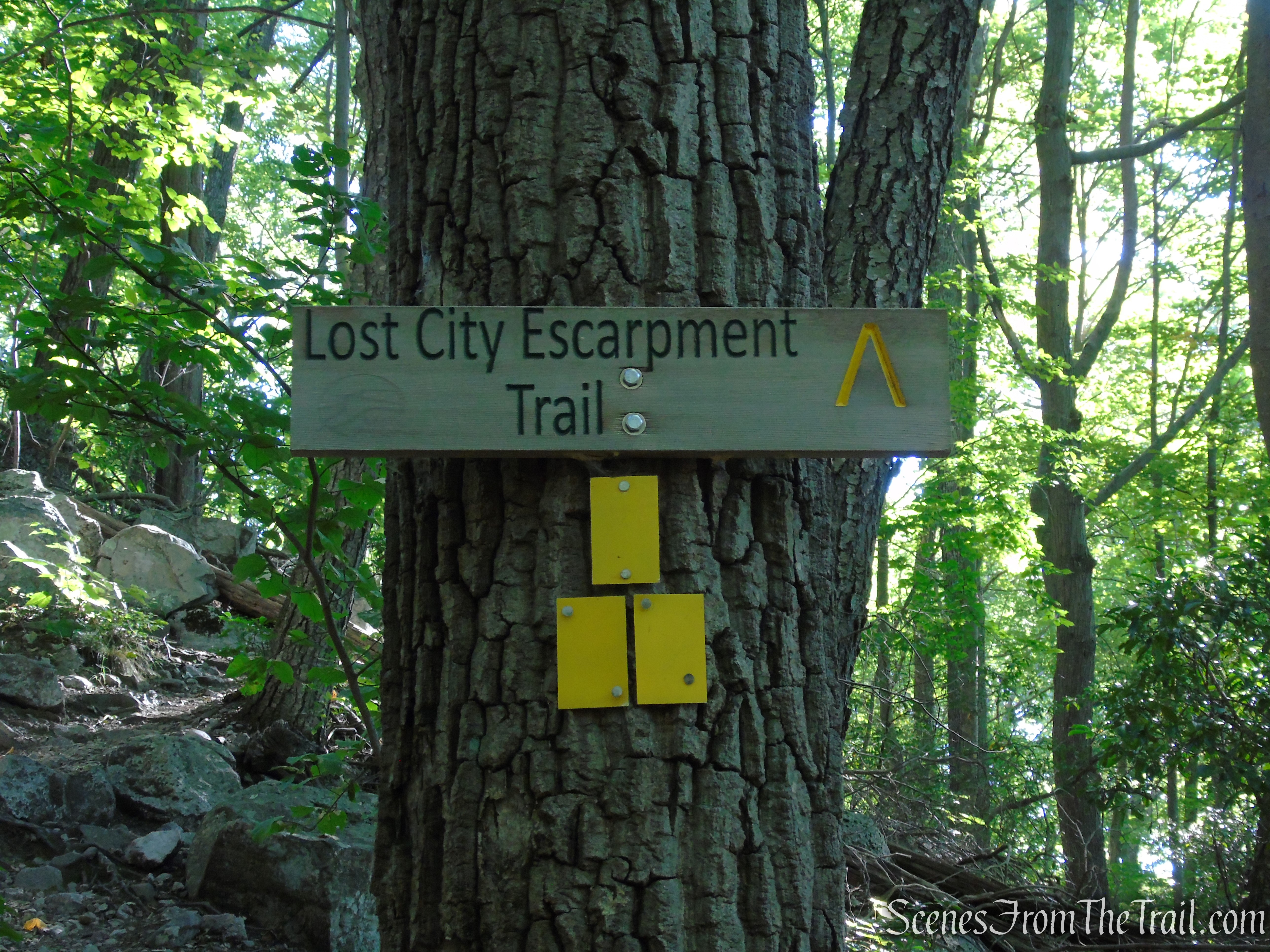 Lost City Escarpment Trail – Mohonk Preserve