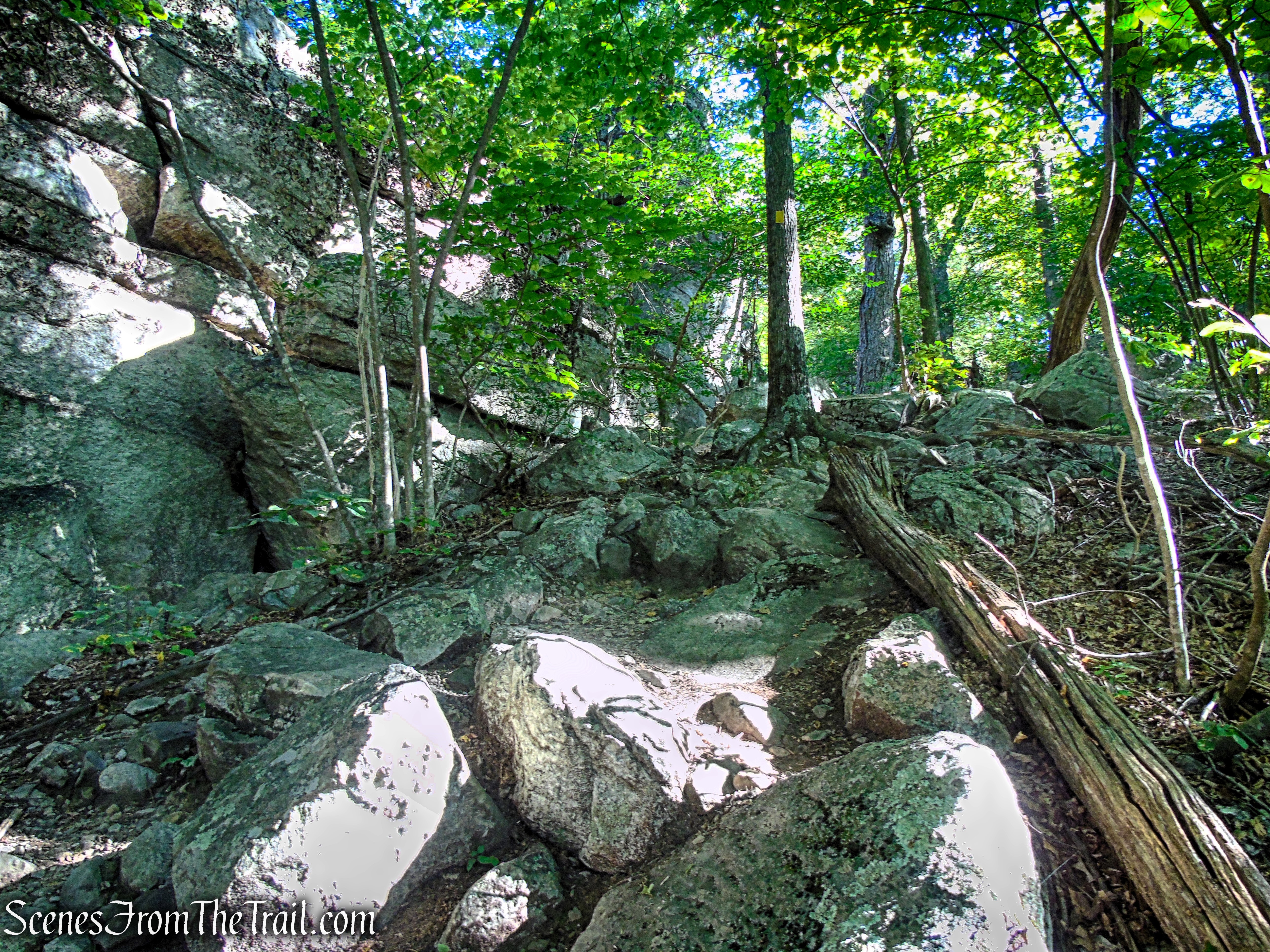 Lost City Escarpment Trail – Mohonk Preserve