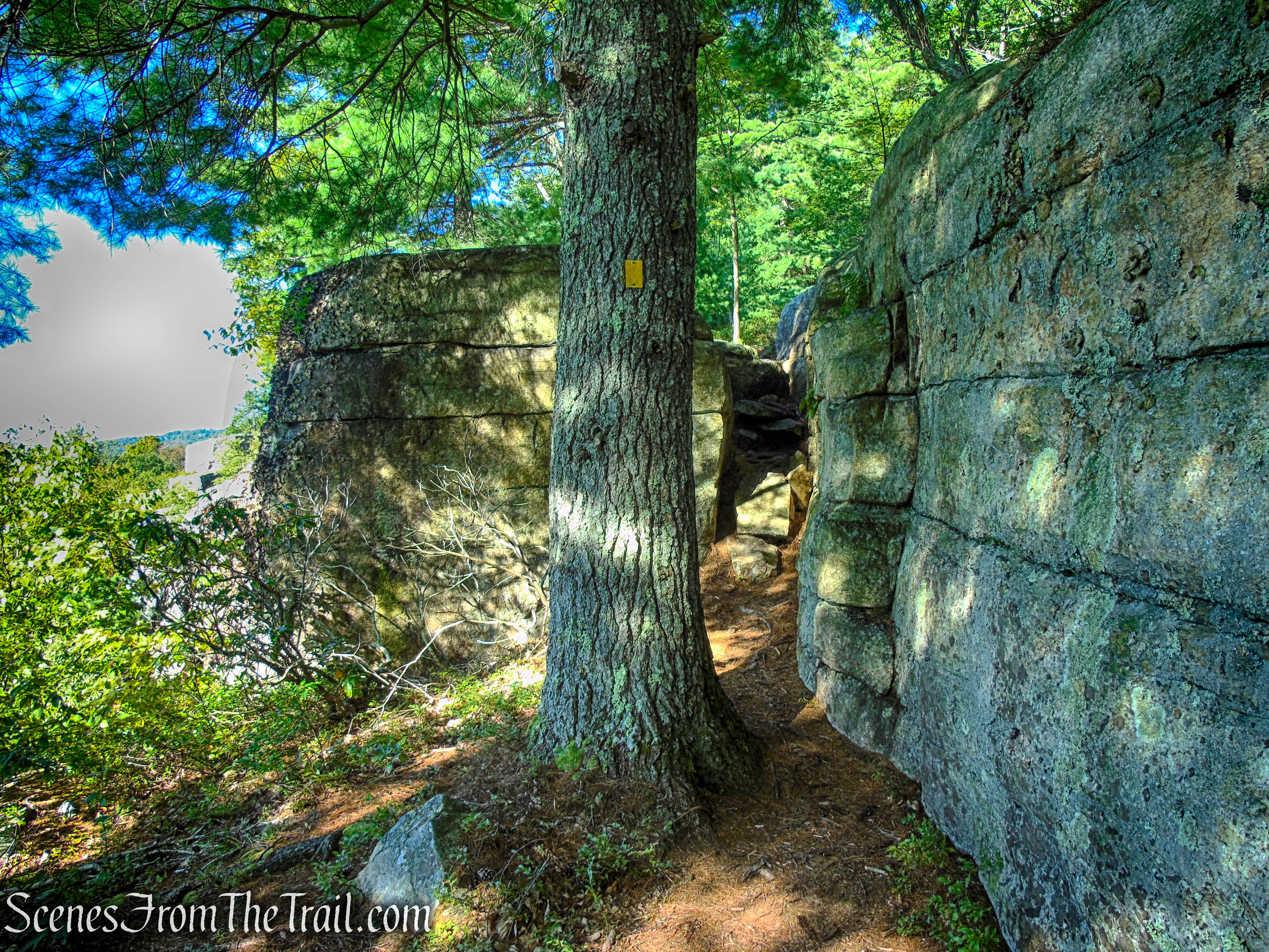Lost City Escarpment Trail – Mohonk Preserve