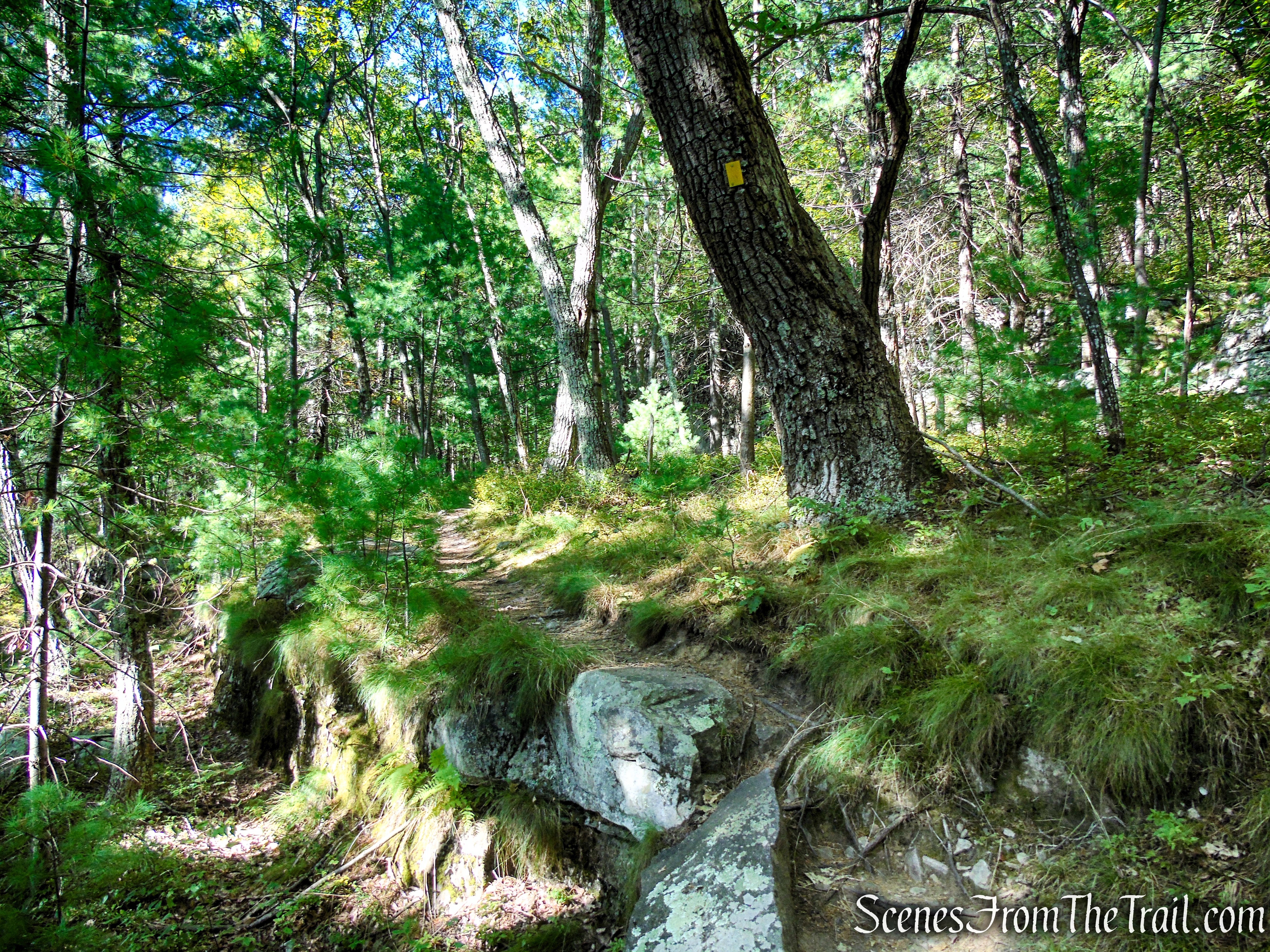 Lost City Escarpment Trail – Mohonk Preserve