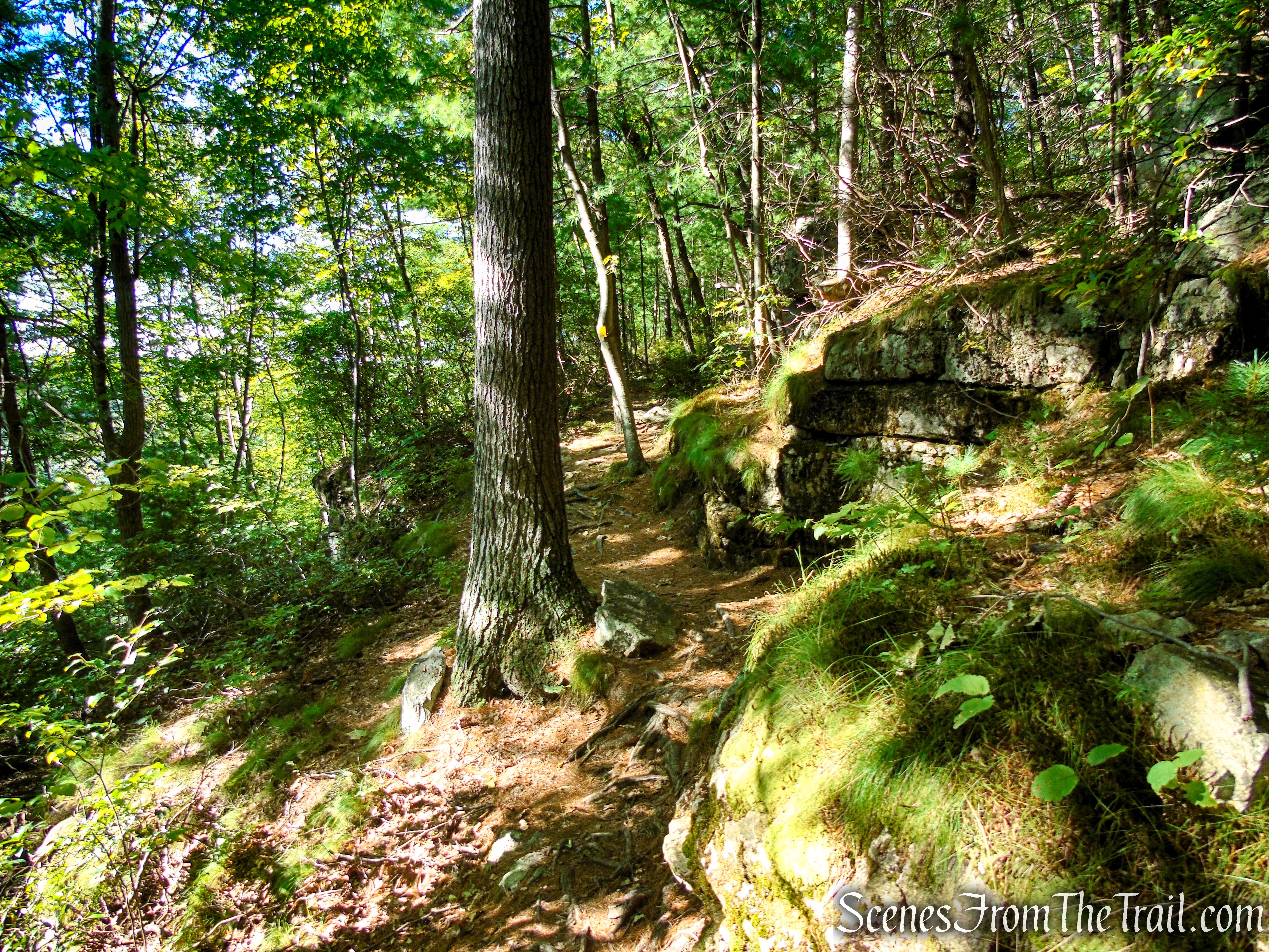 Lost City Escarpment Trail – Mohonk Preserve