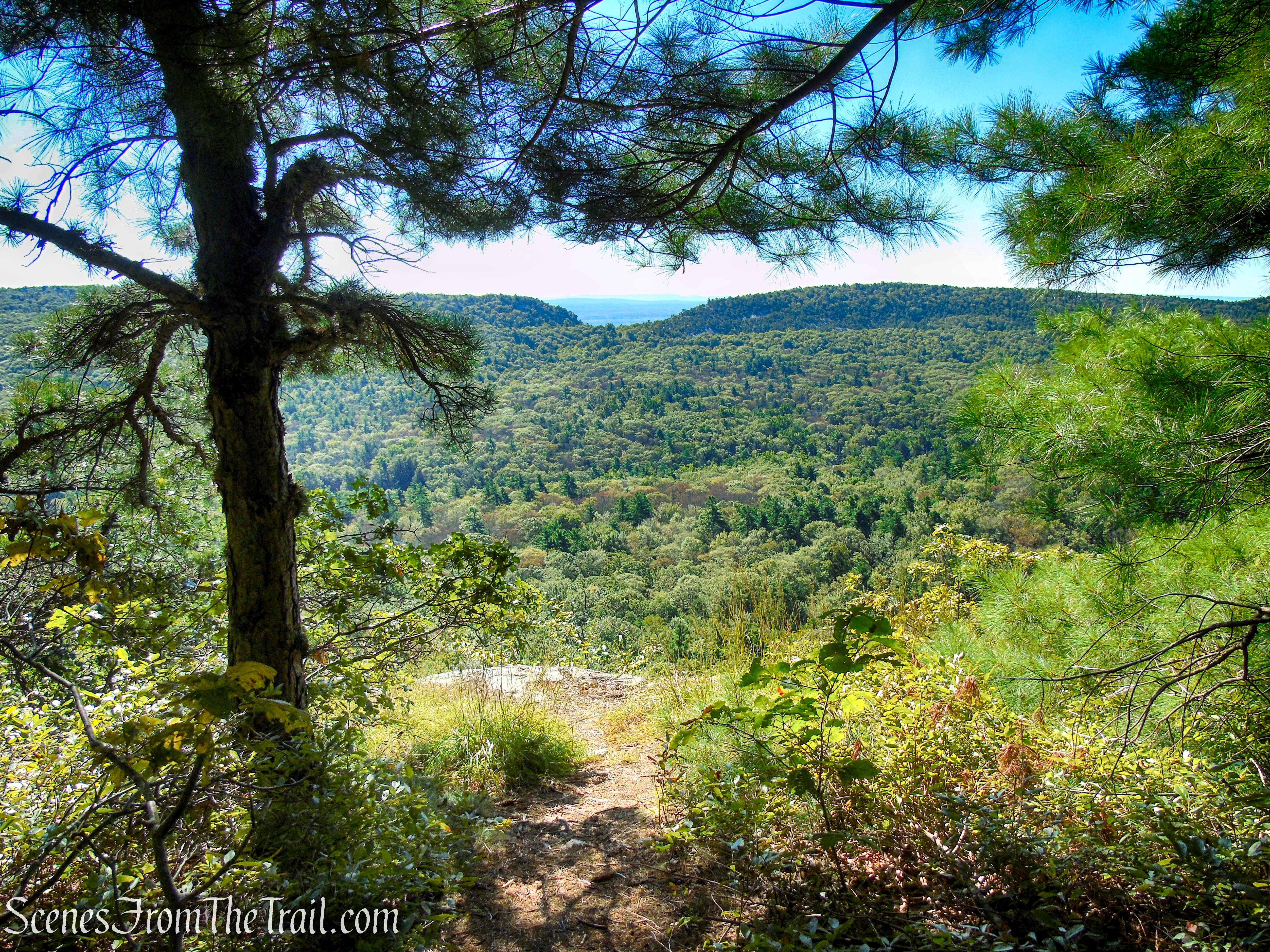 Lost City Escarpment Trail – Mohonk Preserve