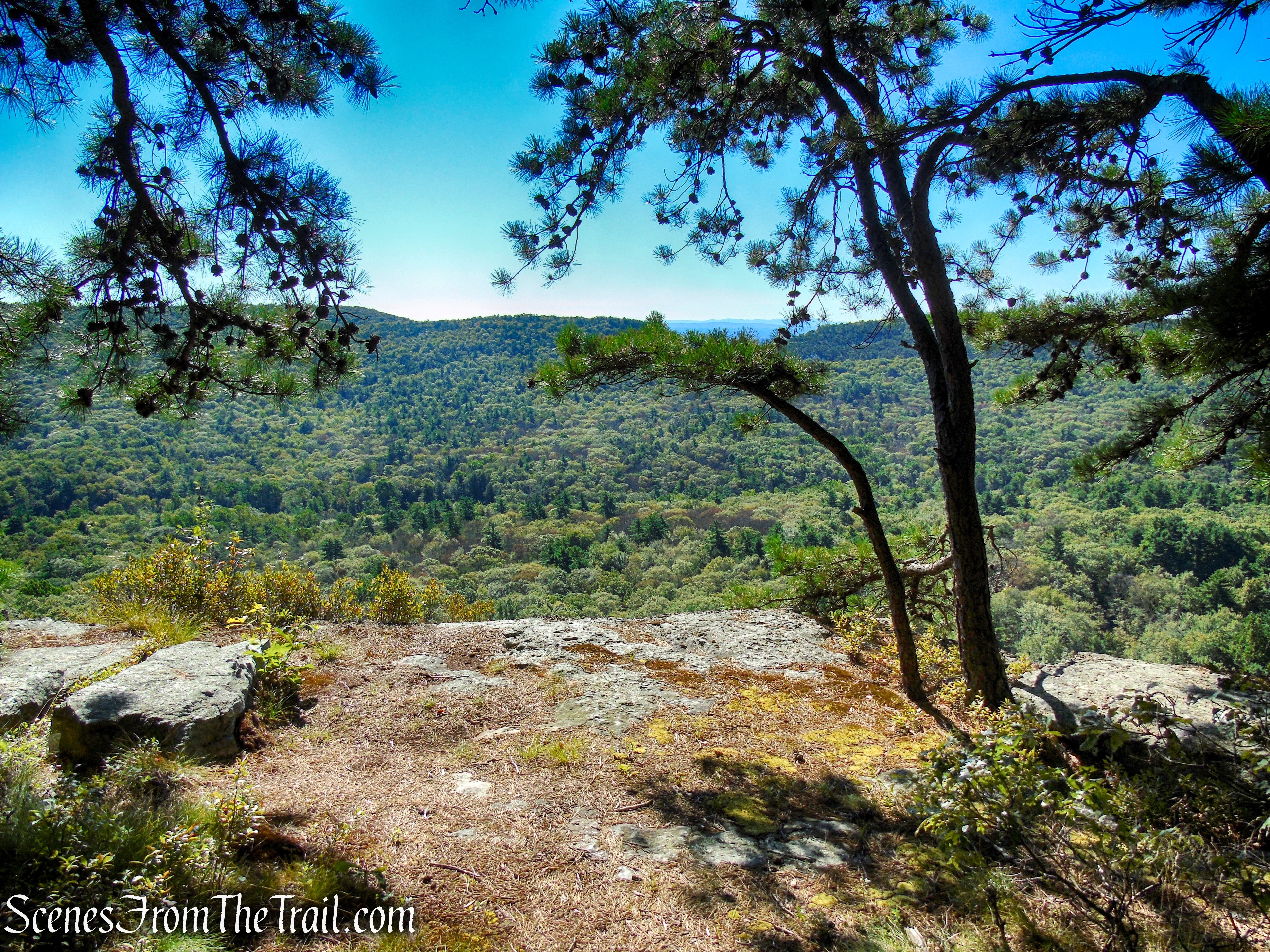 Lost City Escarpment Trail – Mohonk Preserve