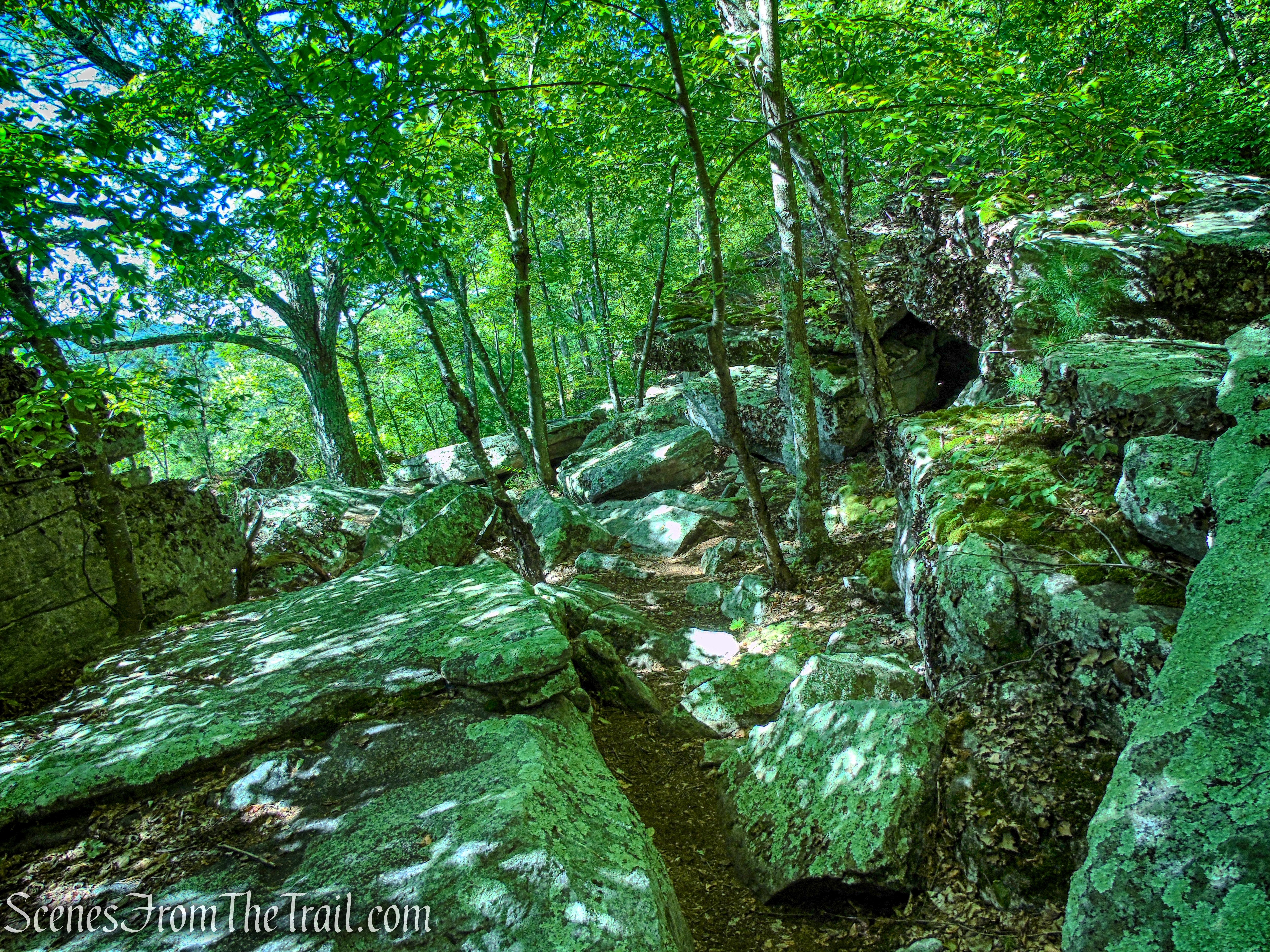 Lost City Escarpment Trail – Mohonk Preserve