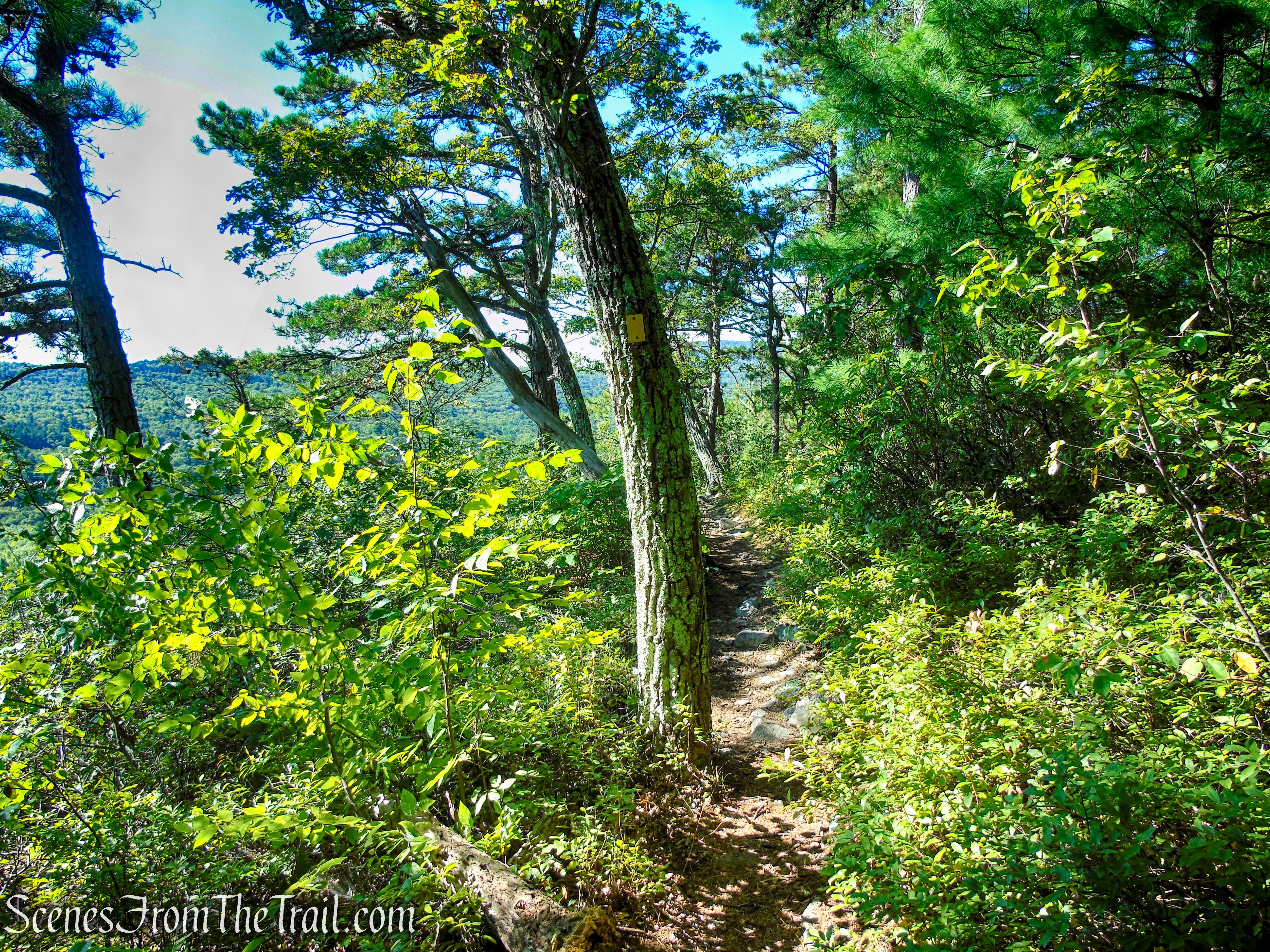 Lost City Escarpment Trail – Mohonk Preserve