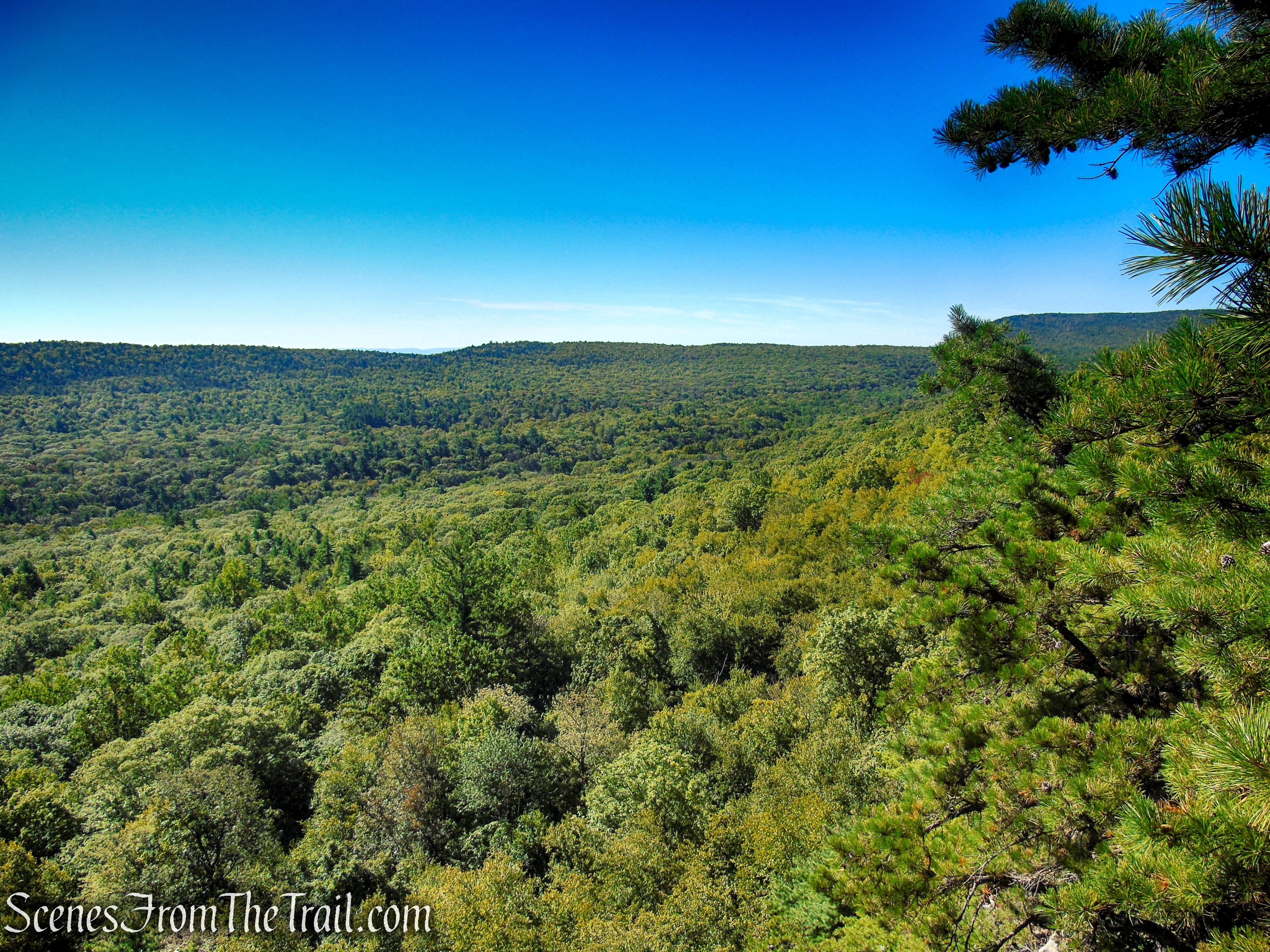 Lost City Escarpment Trail – Mohonk Preserve