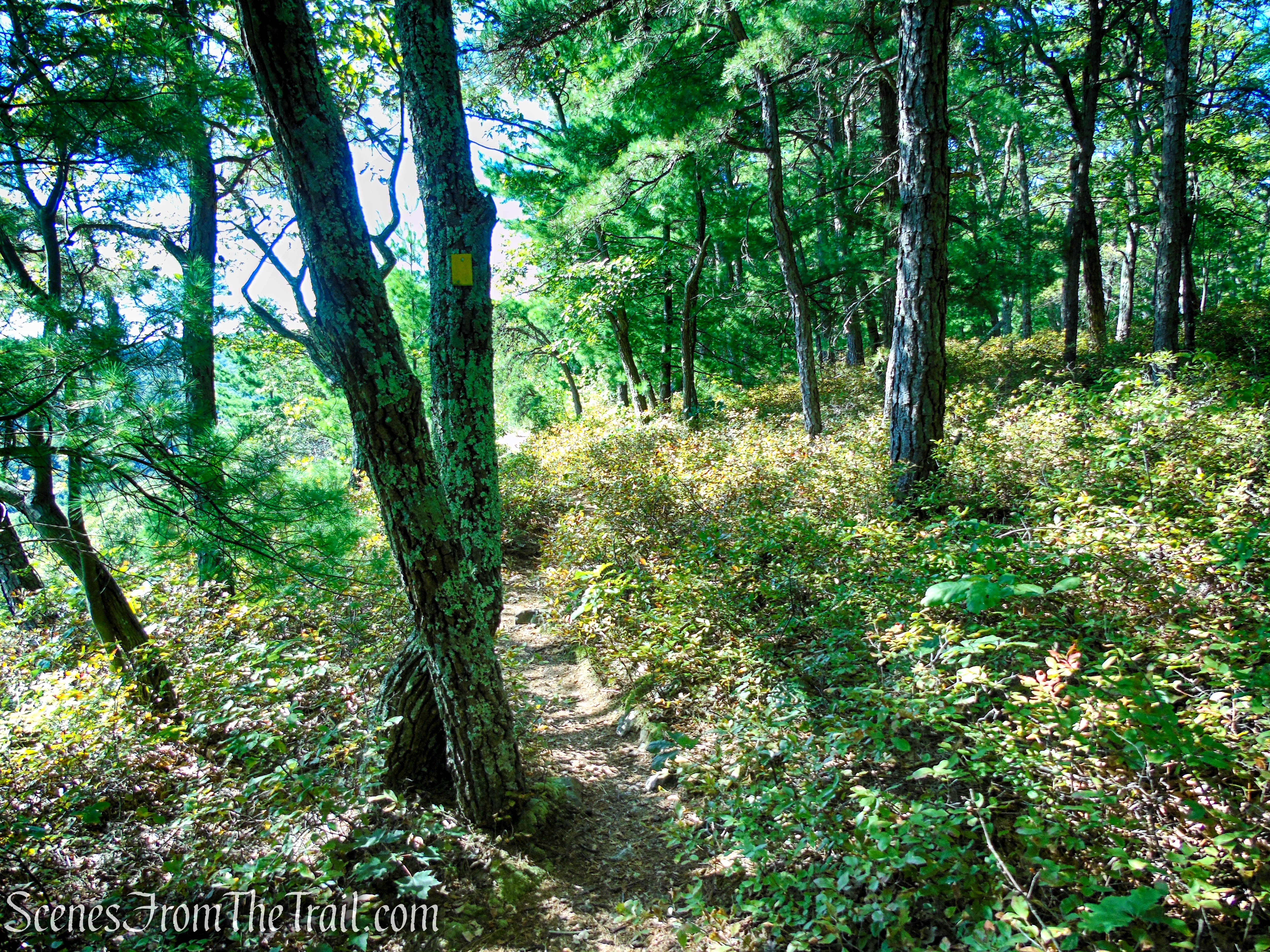 Lost City Escarpment Trail – Minnewaska State Park Preserve