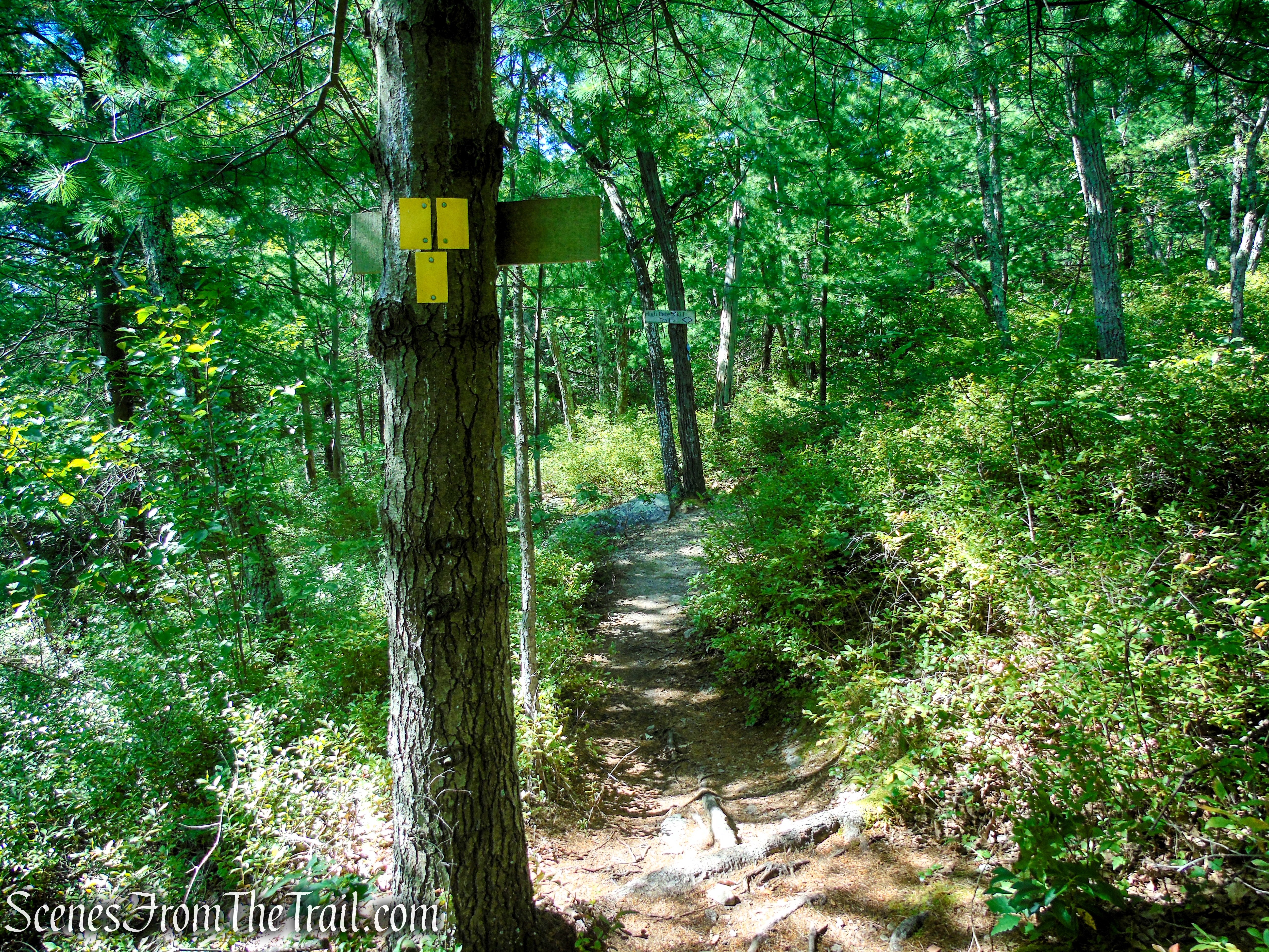Lost City Escarpment Trail – Minnewaska State Park Preserve