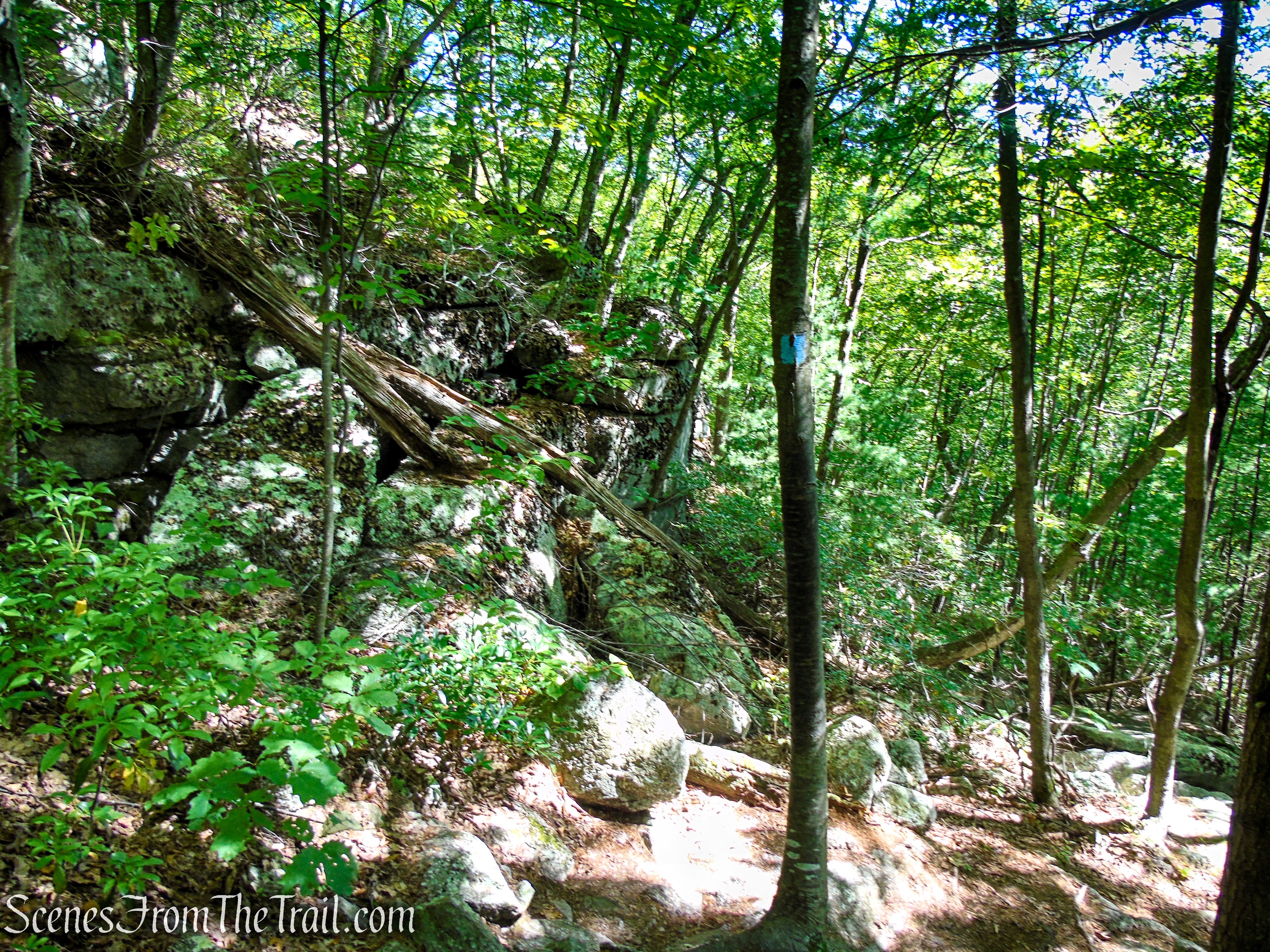 High Peters Kill Trail – Minnewaska State Park Preserve