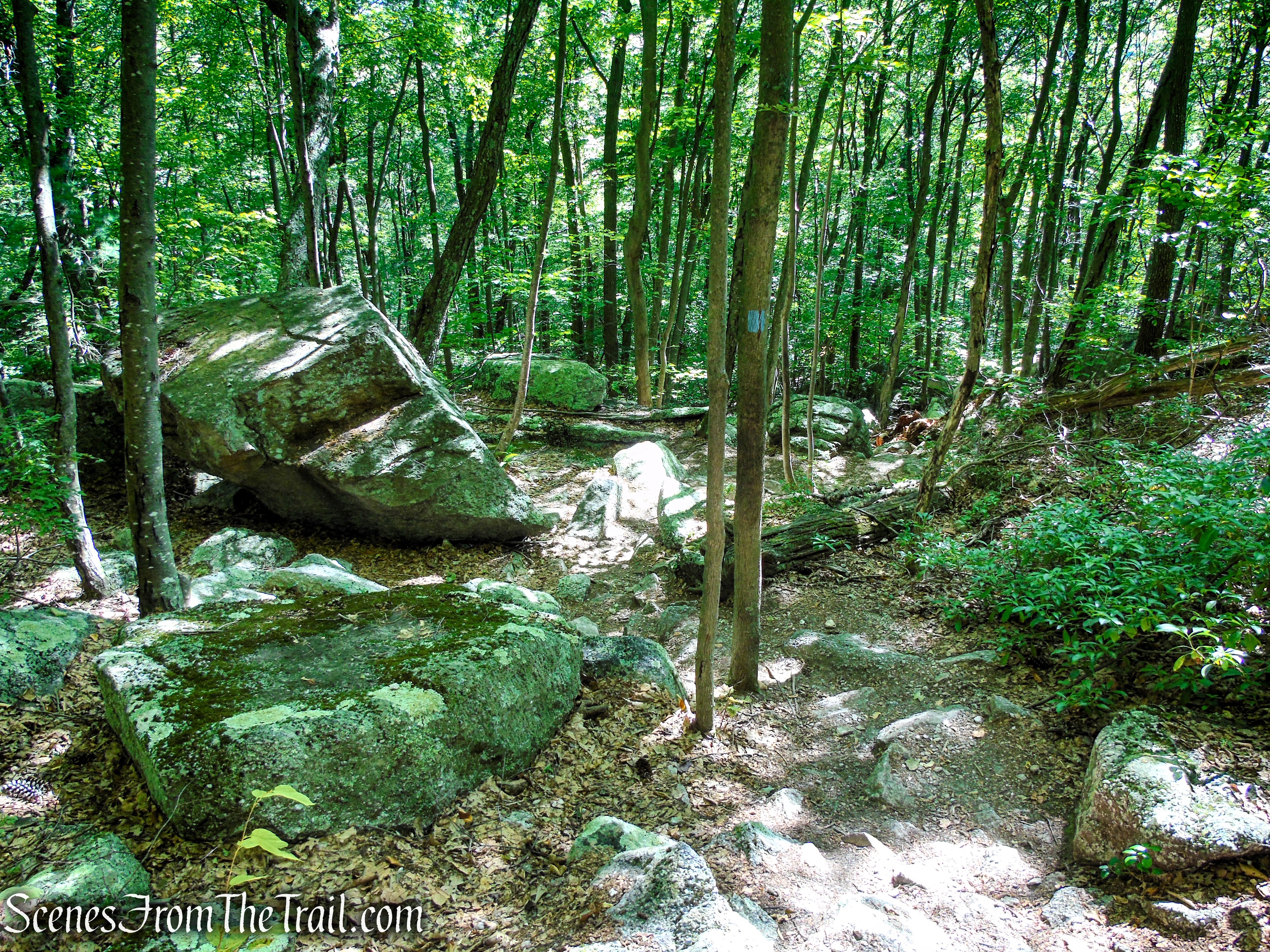 High Peters Kill Trail – Minnewaska State Park Preserve