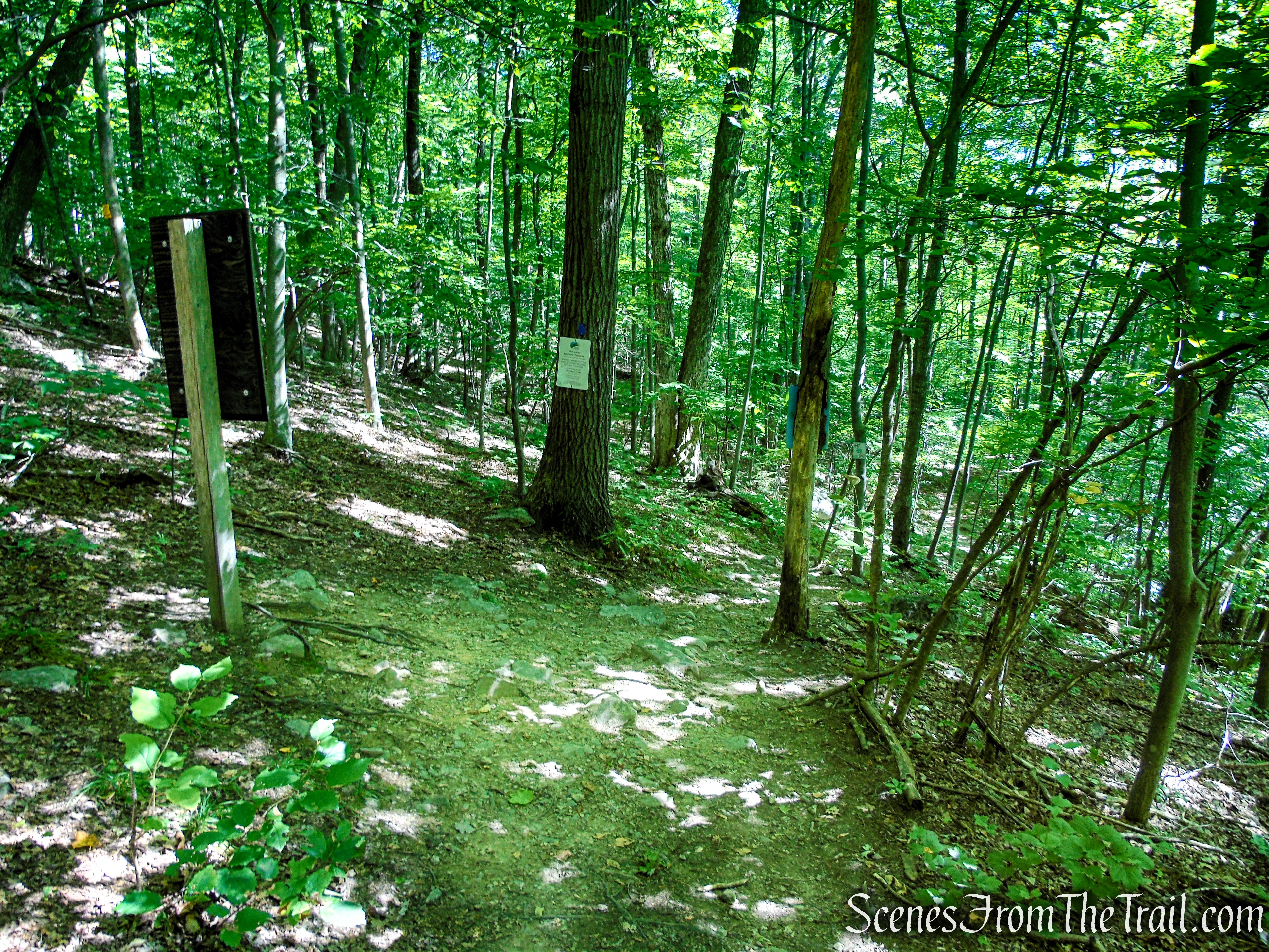 High Peters Kill Trail – Minnewaska State Park Preserve