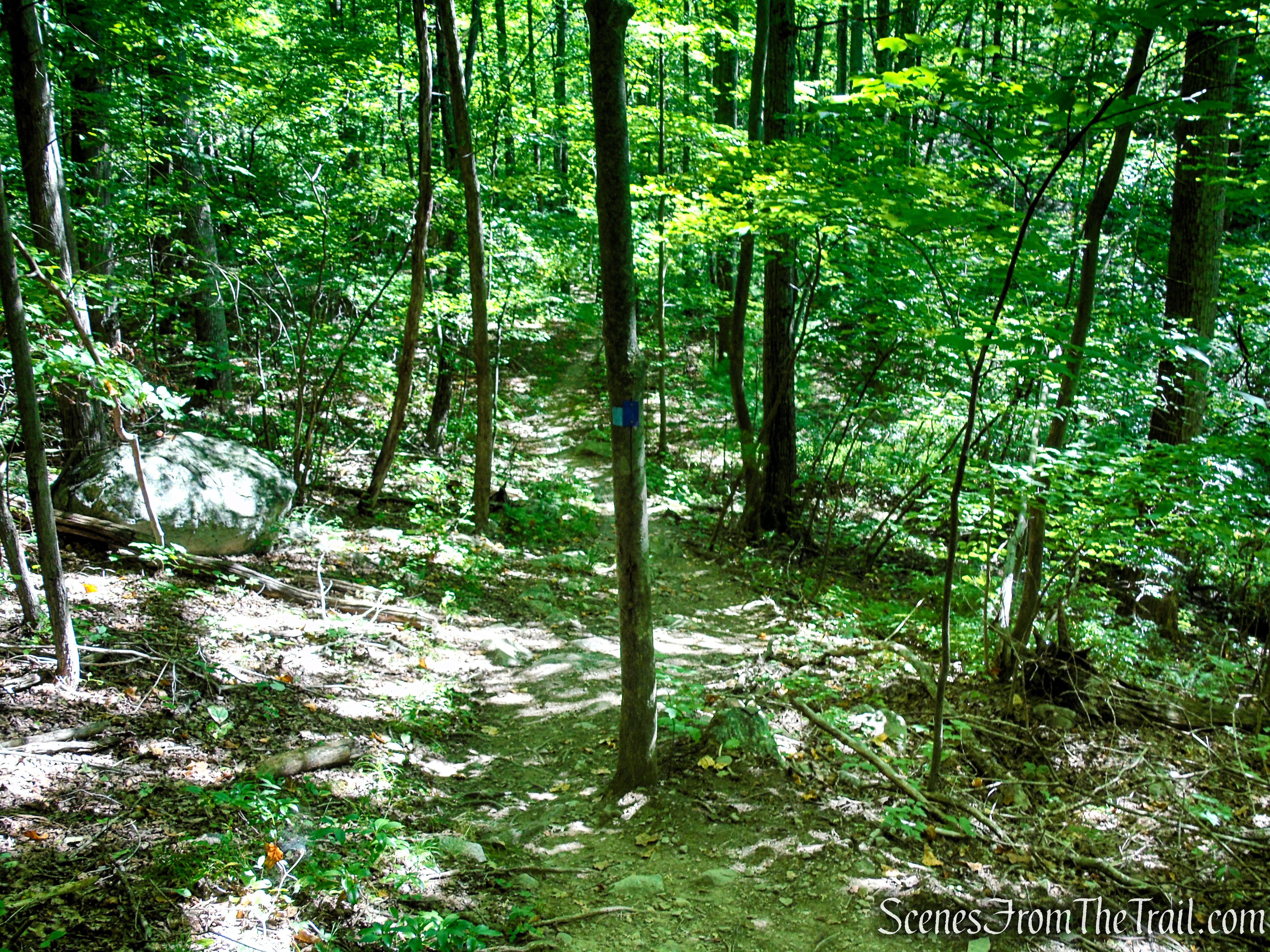 High Peters Kill Trail - Mohonk Preserve