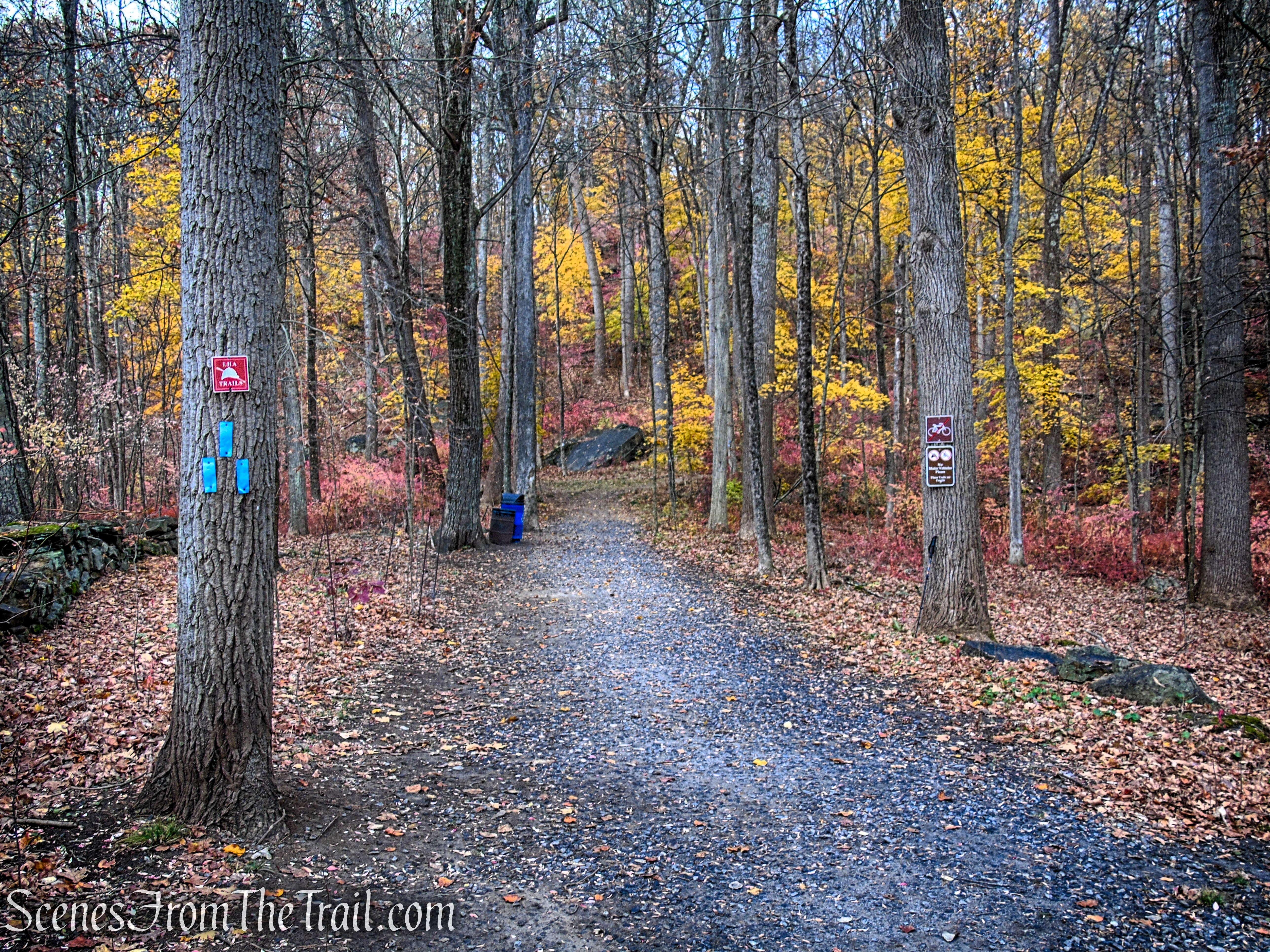 Blue Trail - Leon Levy Preserve