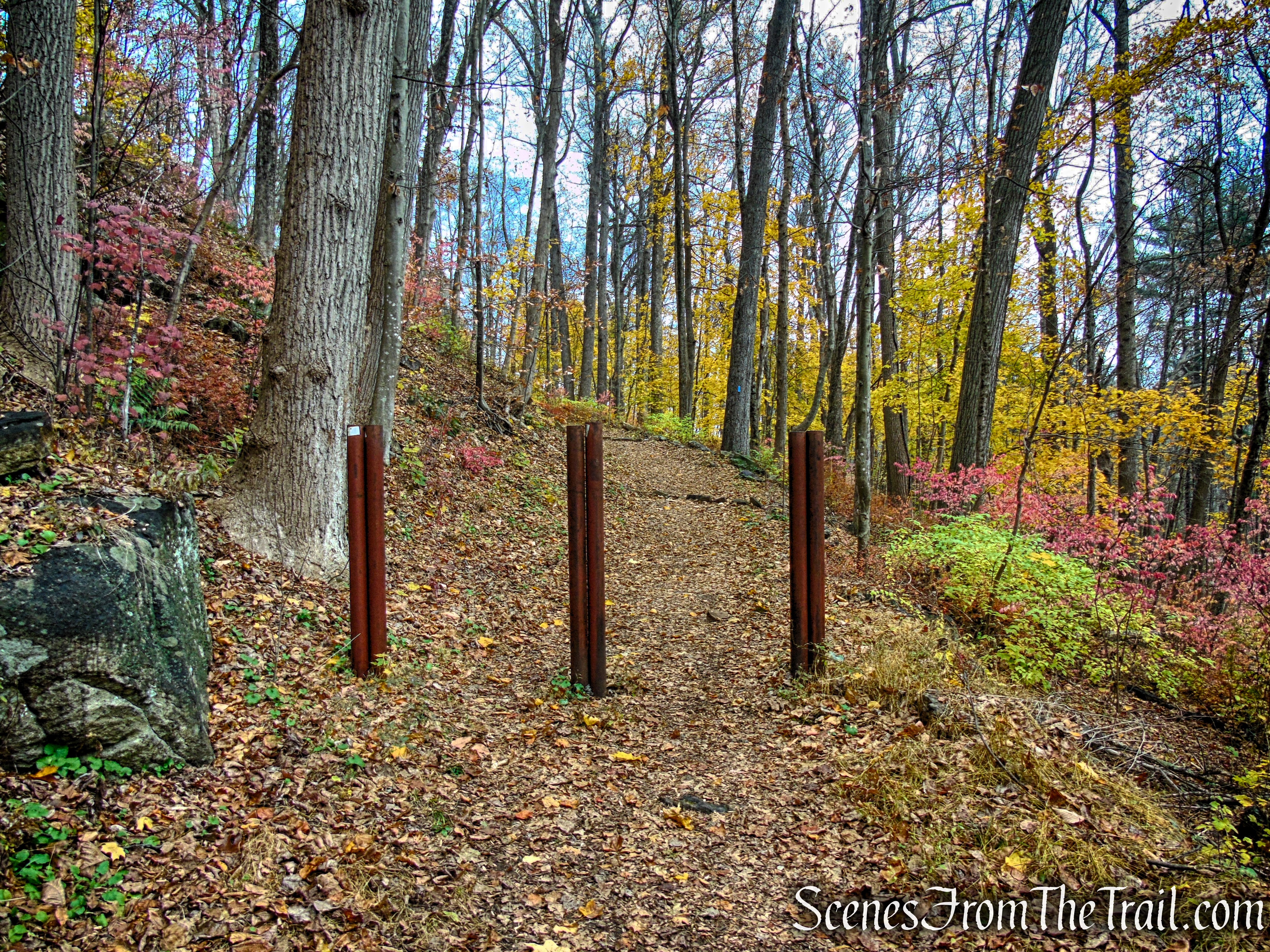 Blue Trail - Leon Levy Preserve