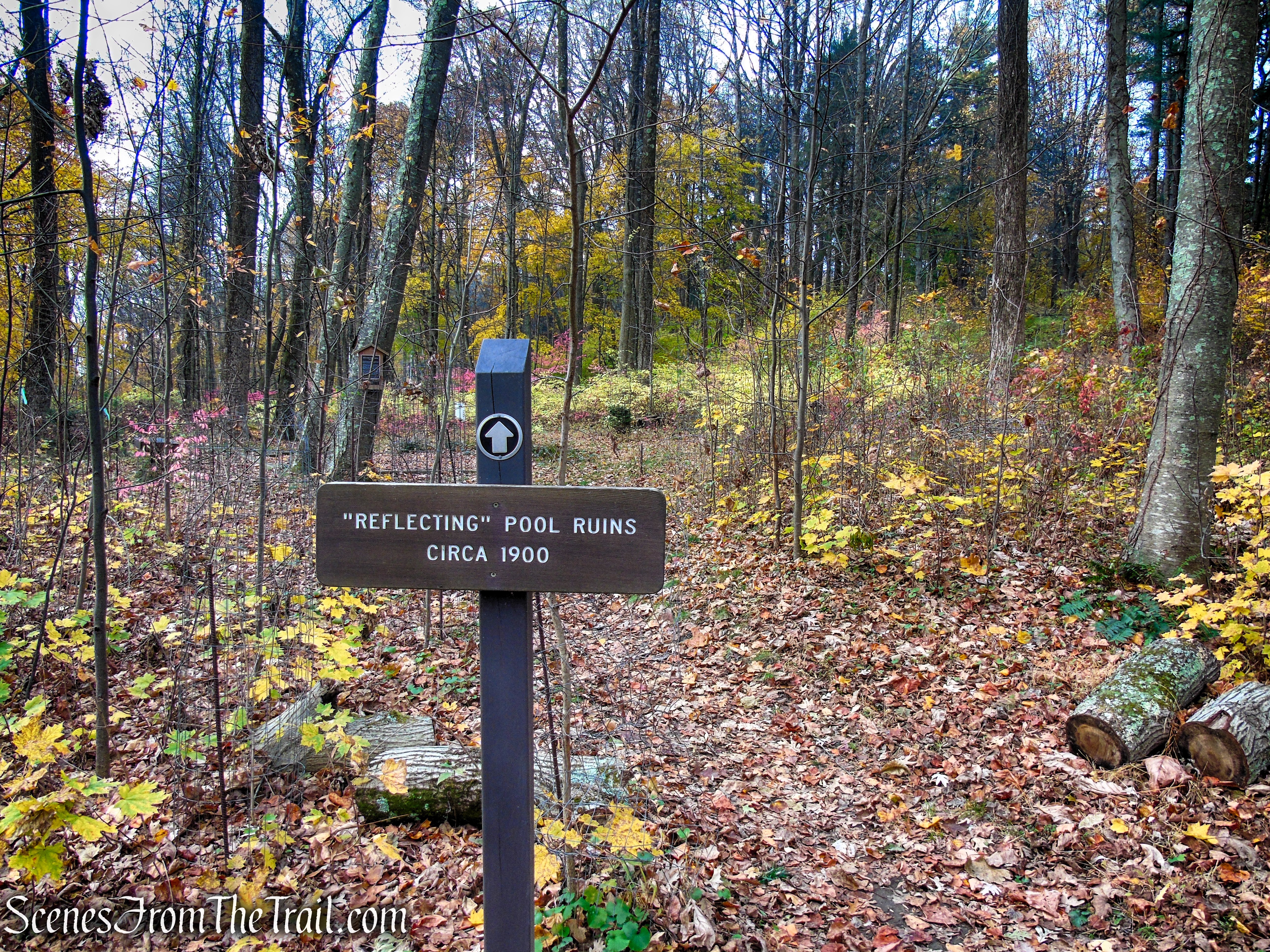 Reflecting Pool ruins - Leon Levy Preserve