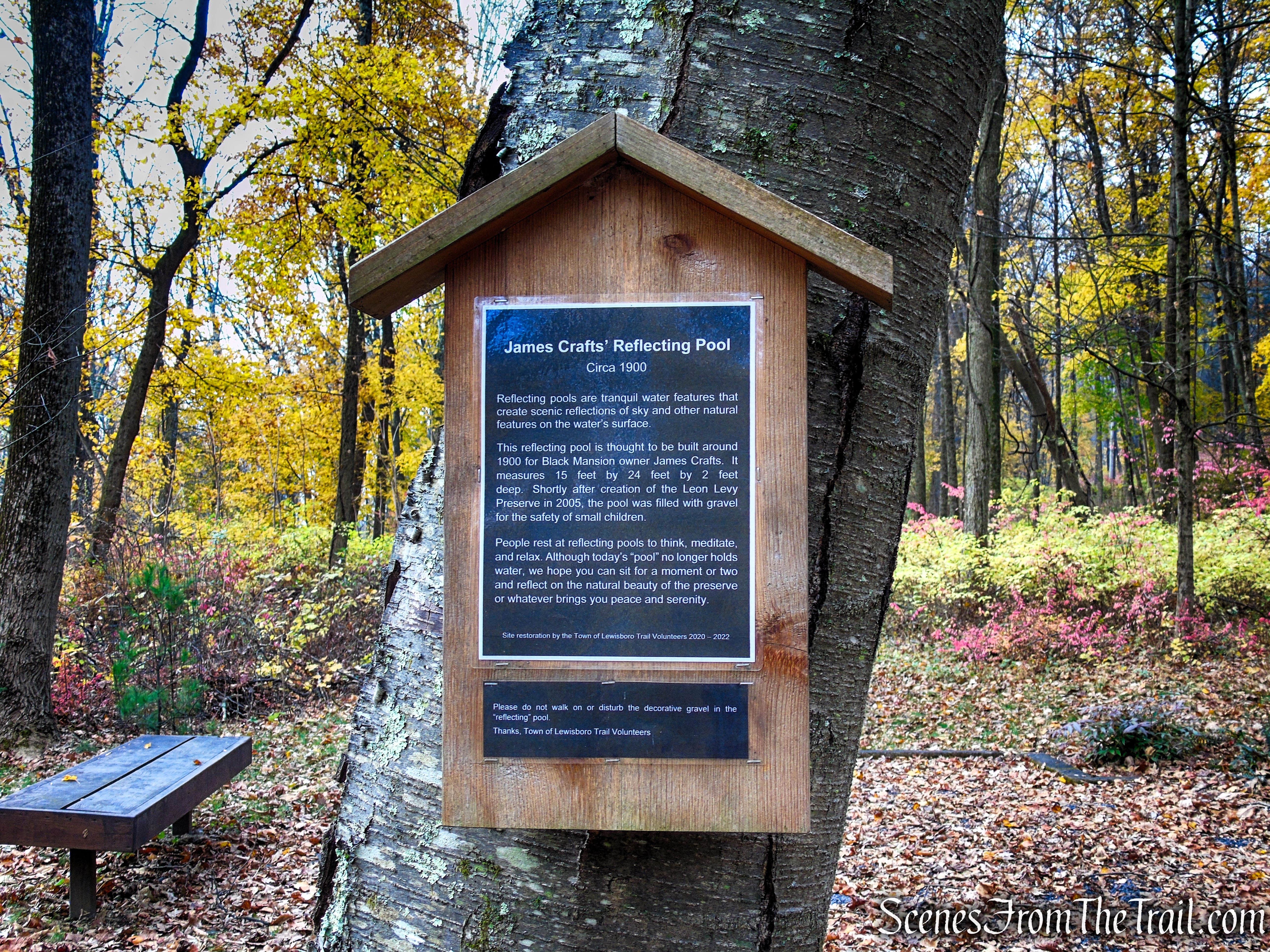 Reflecting Pool ruins - Leon Levy Preserve