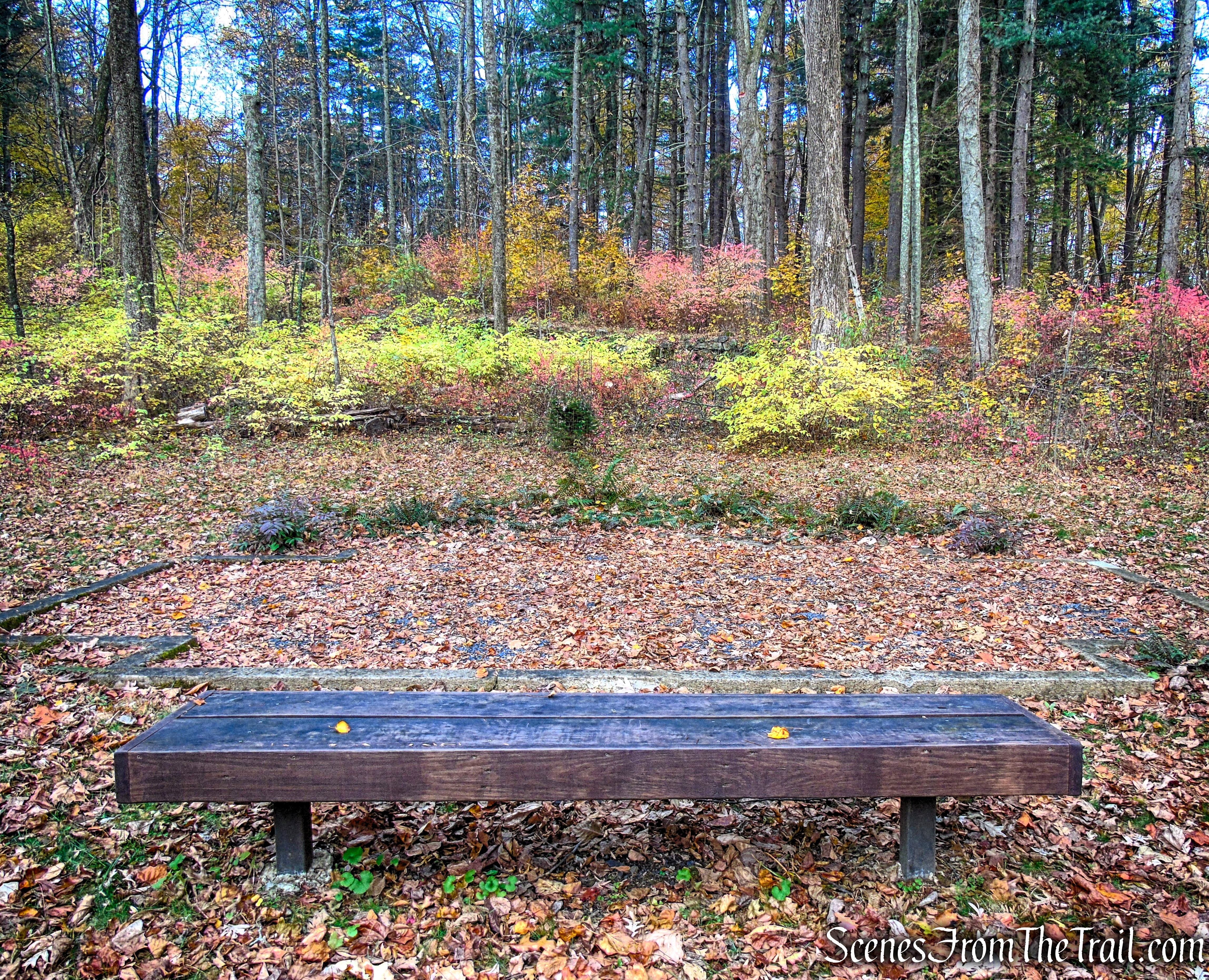 Reflecting Pool ruins - Leon Levy Preserve