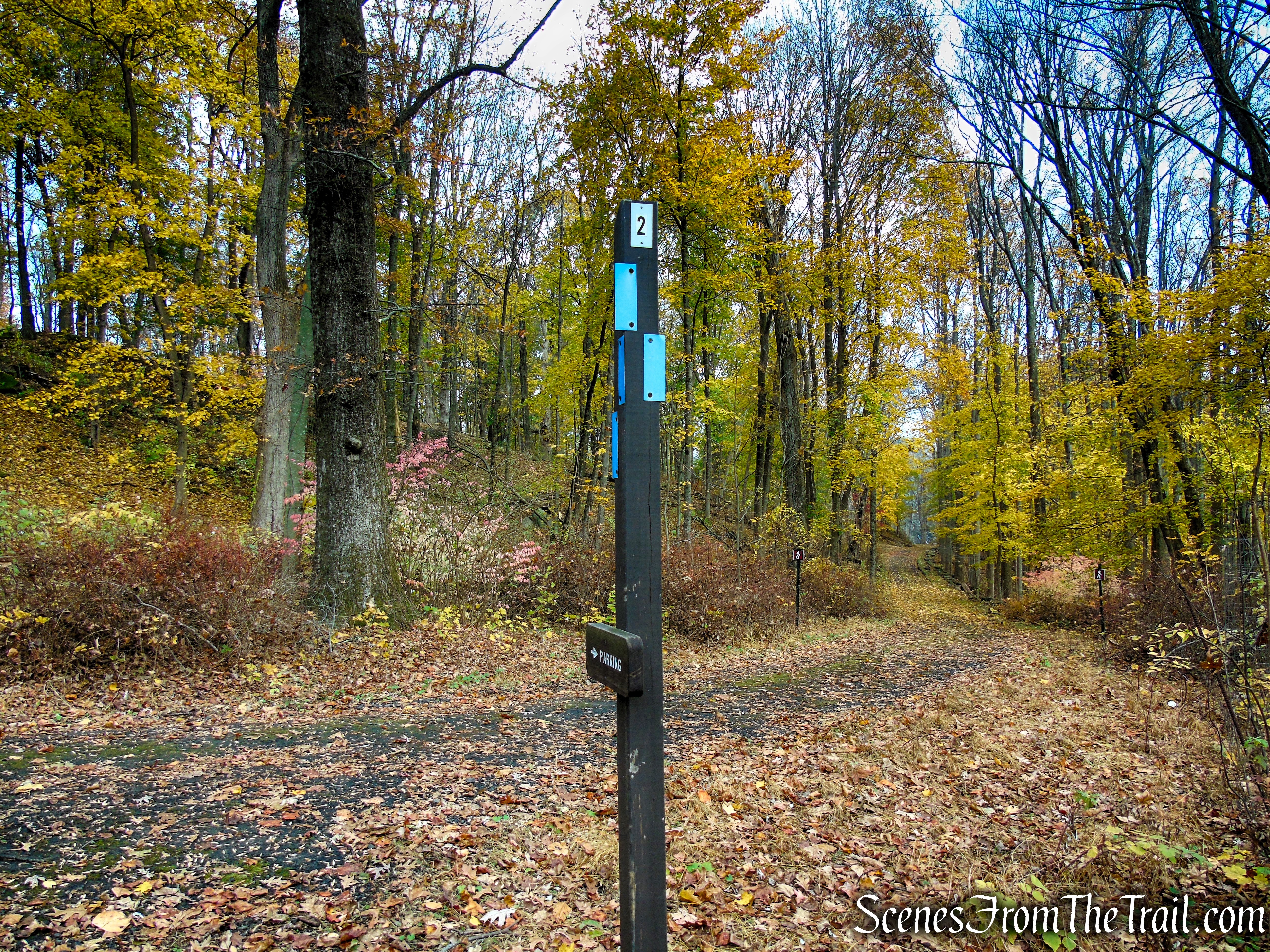 Junction 2 - Leon Levy Preserve