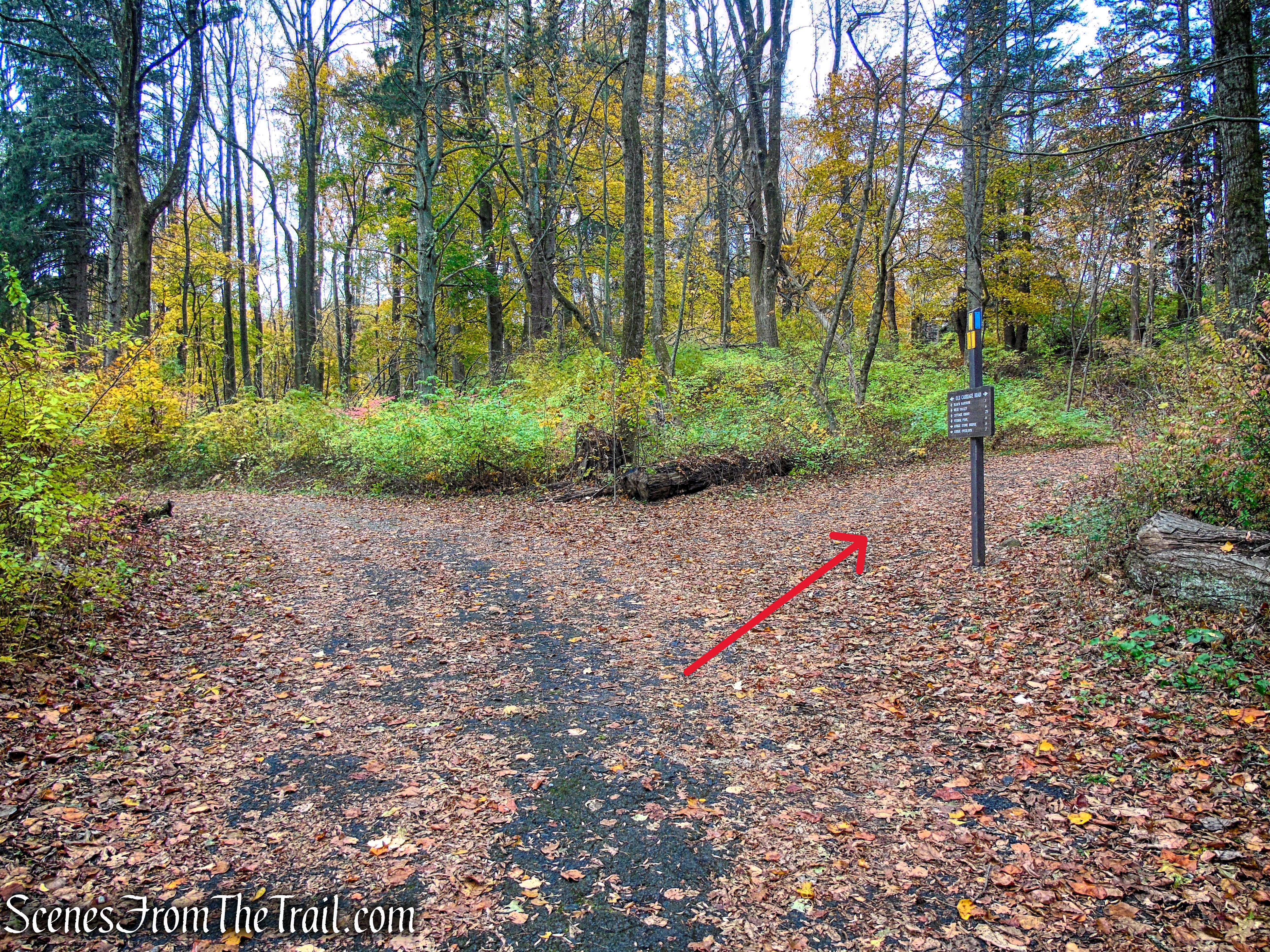 Turn right on Yellow Trail