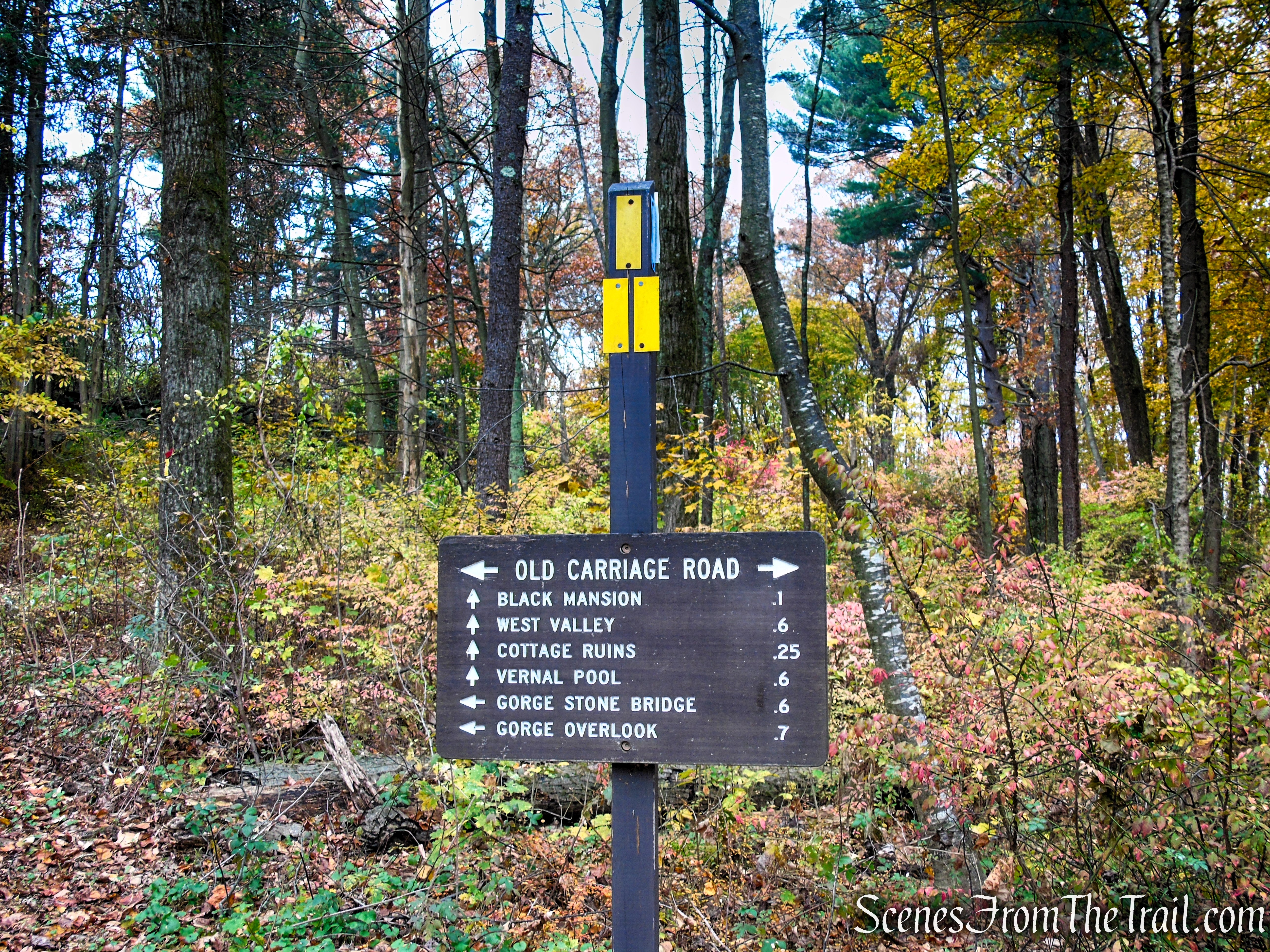 Yellow Trail - Leon Levy Preserve
