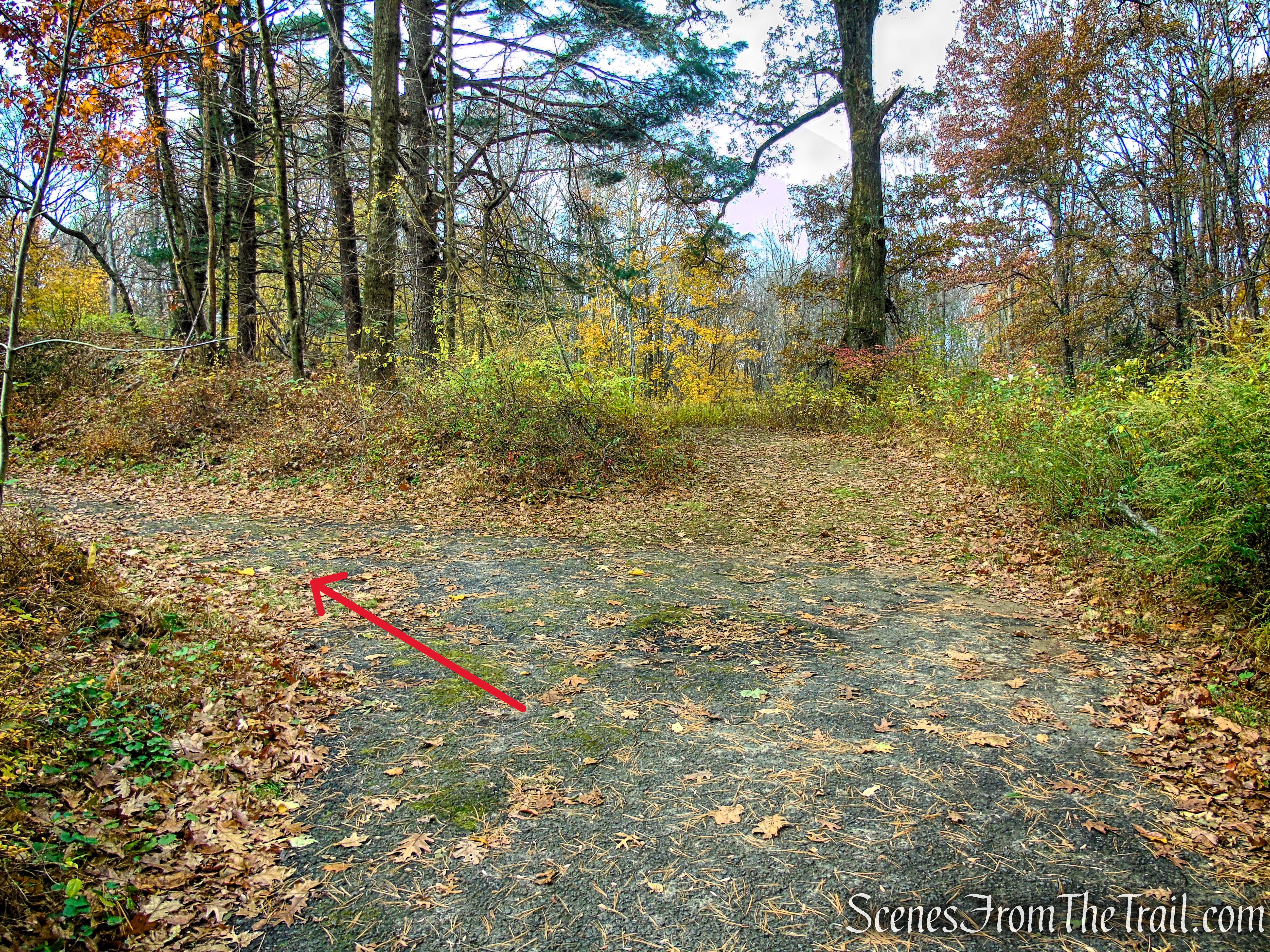 Turn left to remain on asphalt road