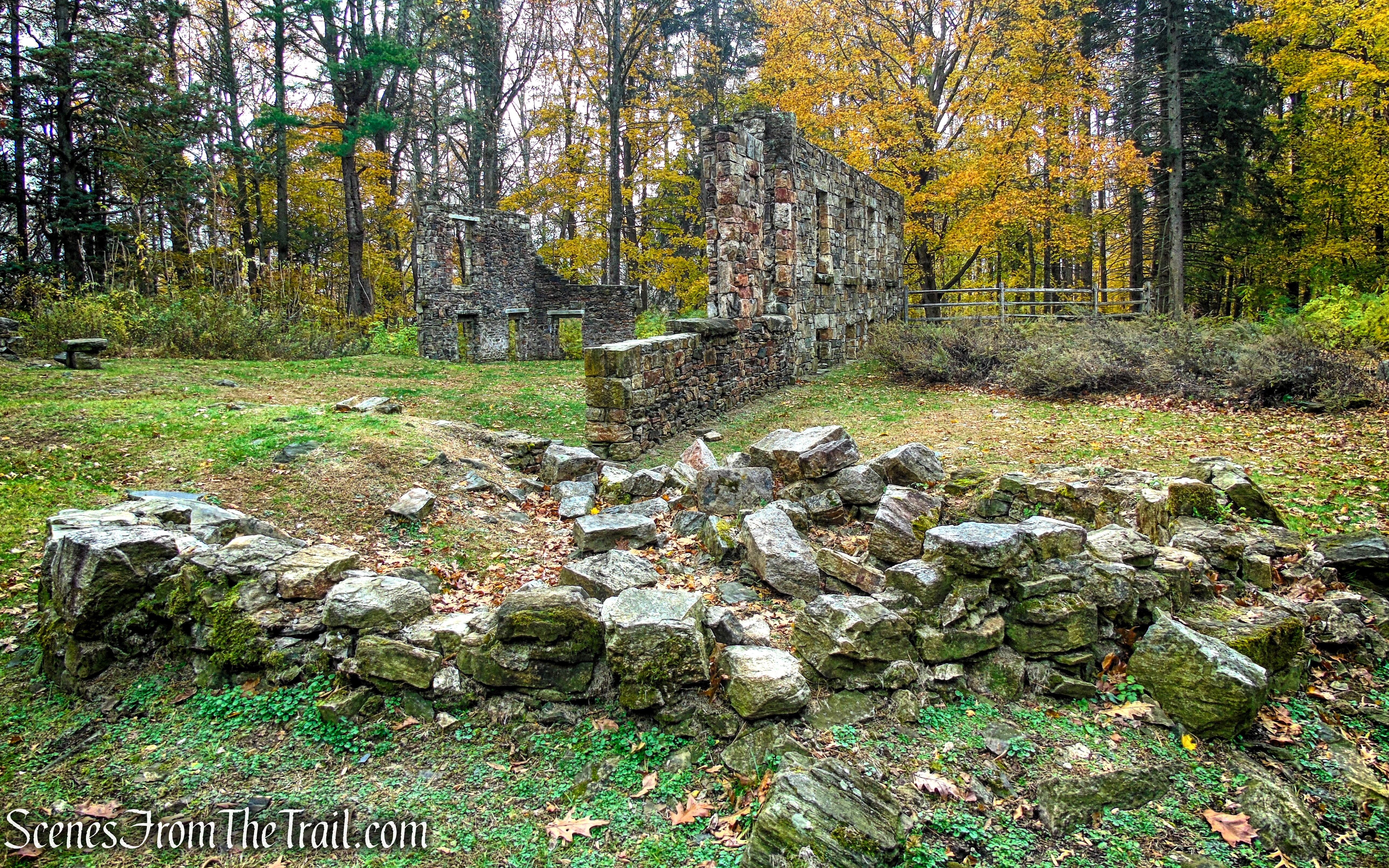 Black Mansion ruins - Leon Levy Preserve
