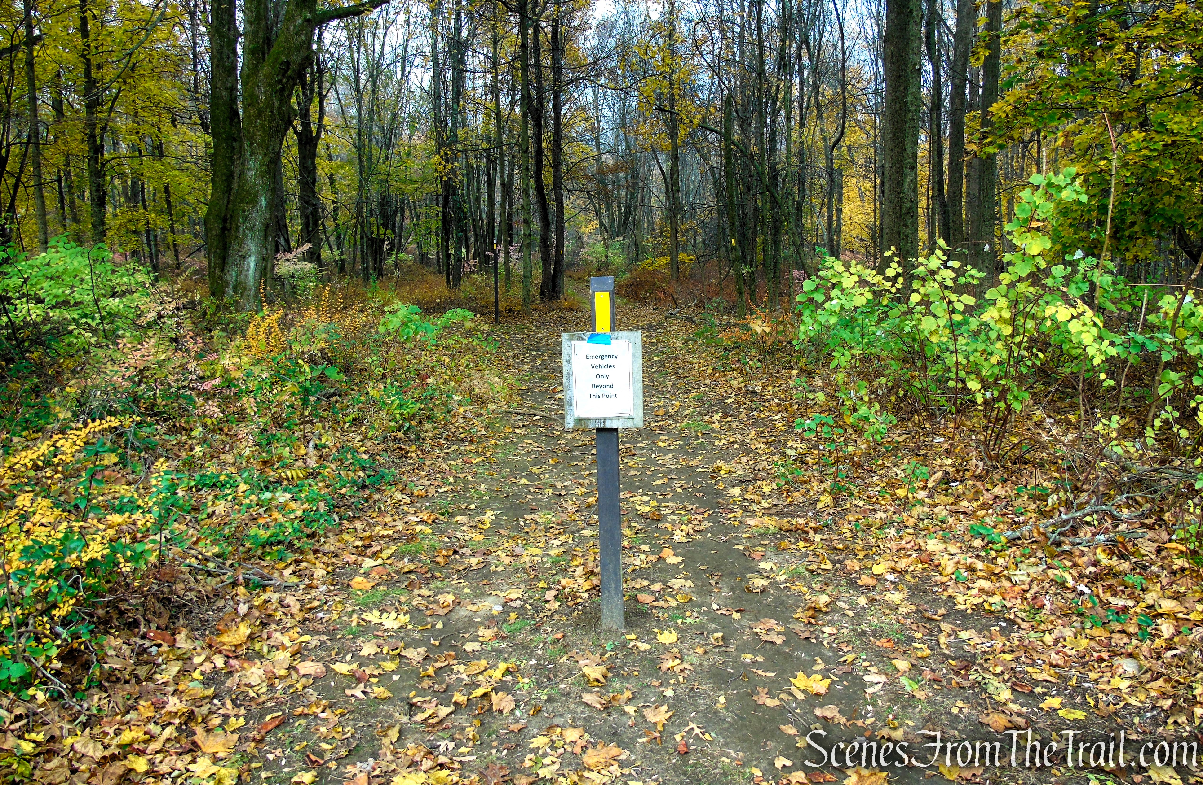 Yellow Trail - Leon Levy Preserve