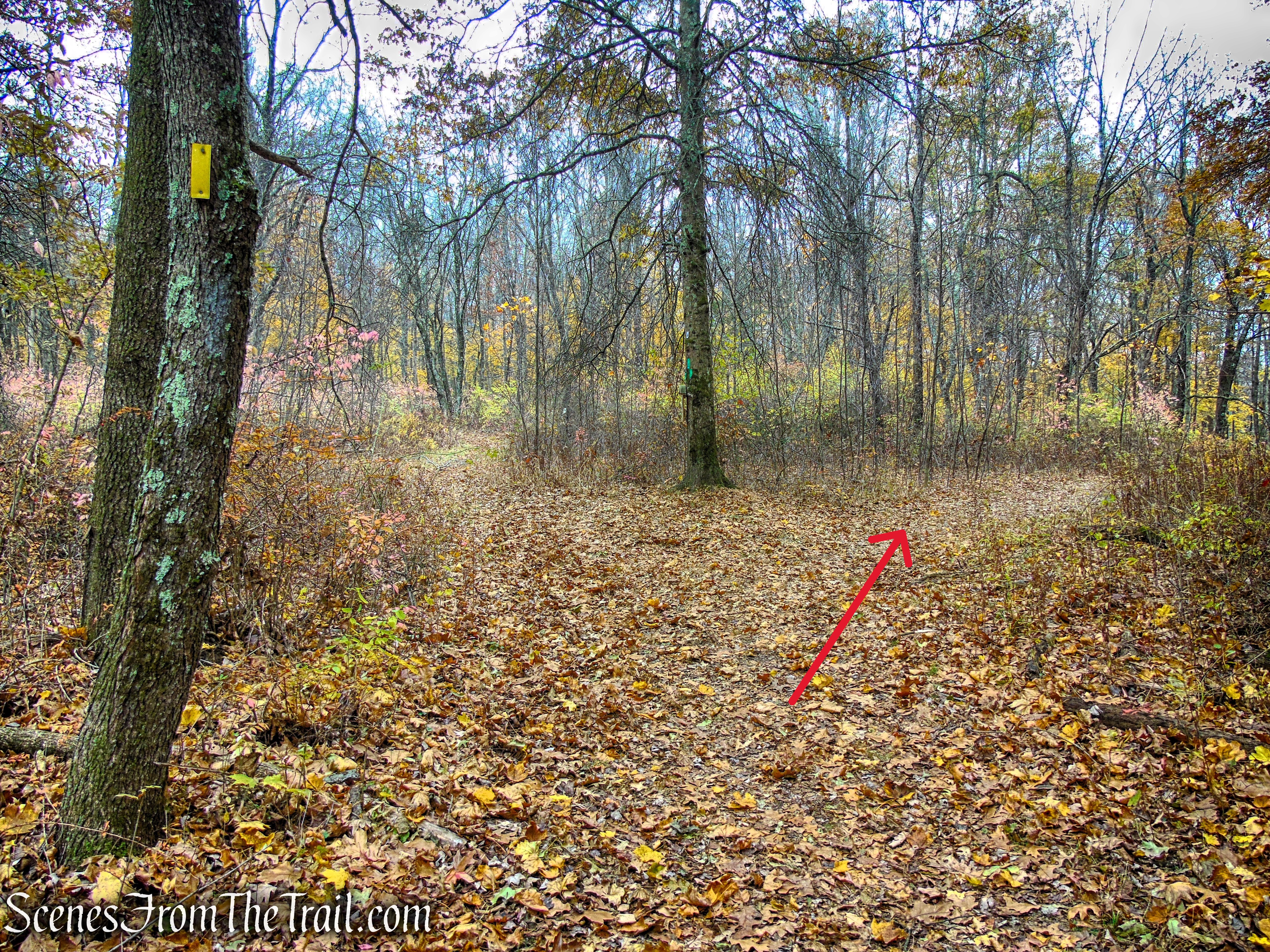 Turn right on Green Trail