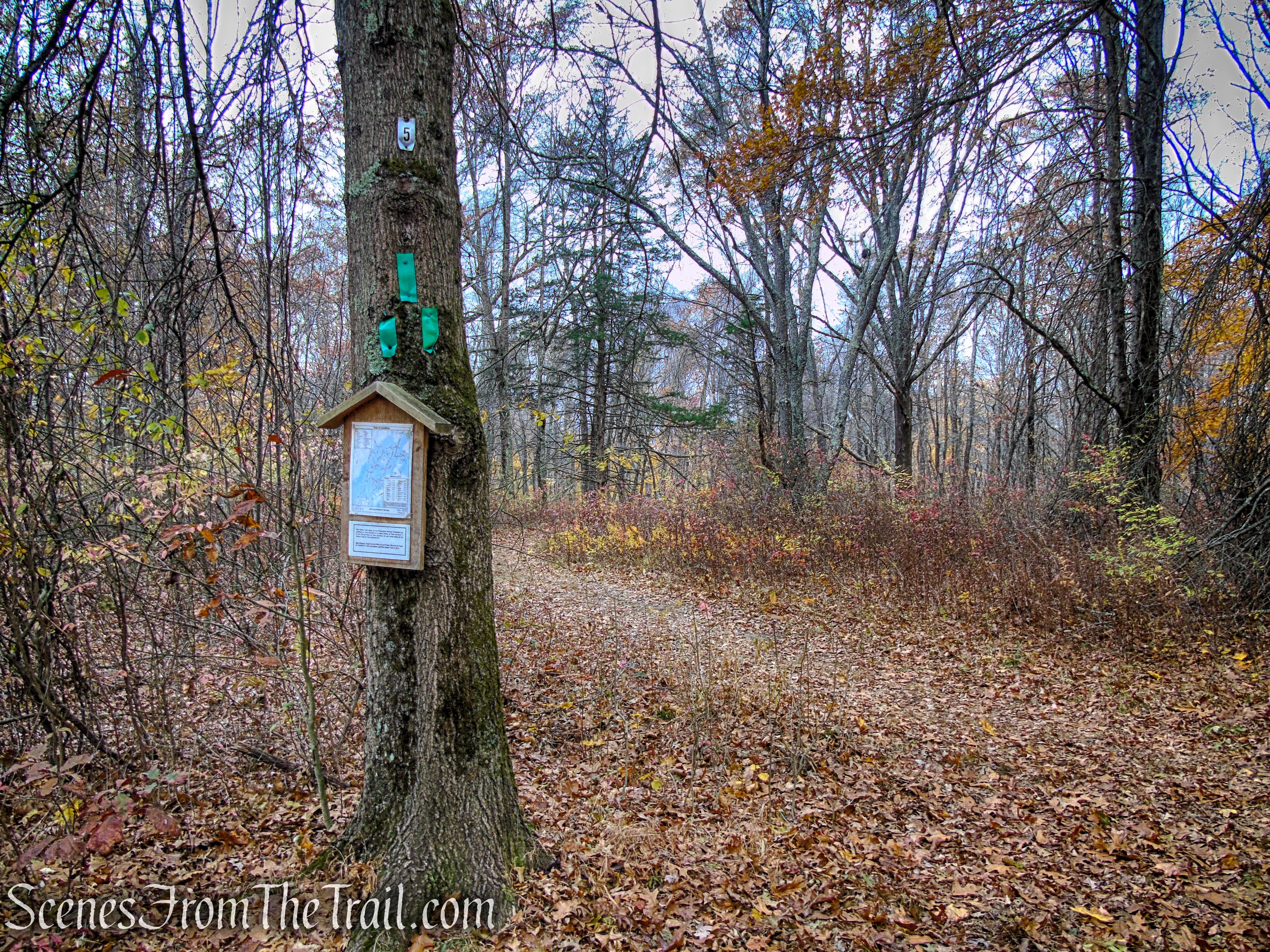 Turn right on Green Trail