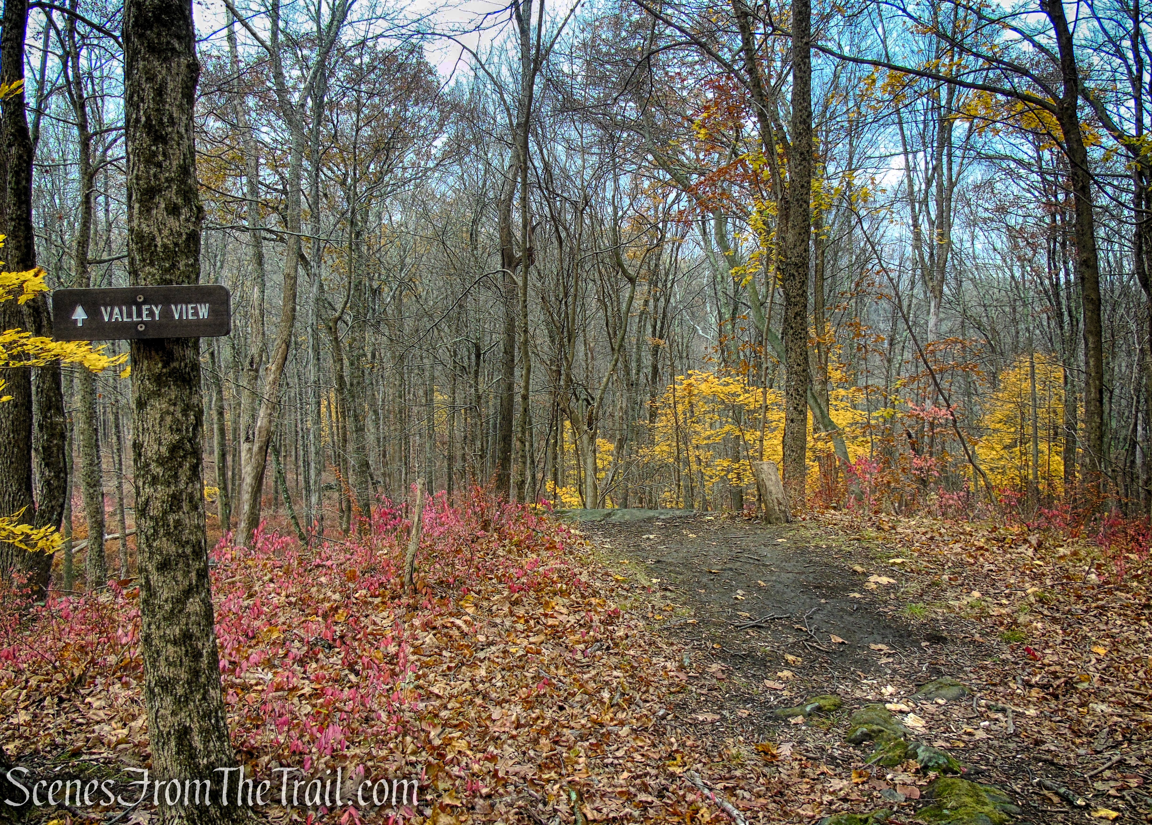 Valley View - Leon Levy Preserve