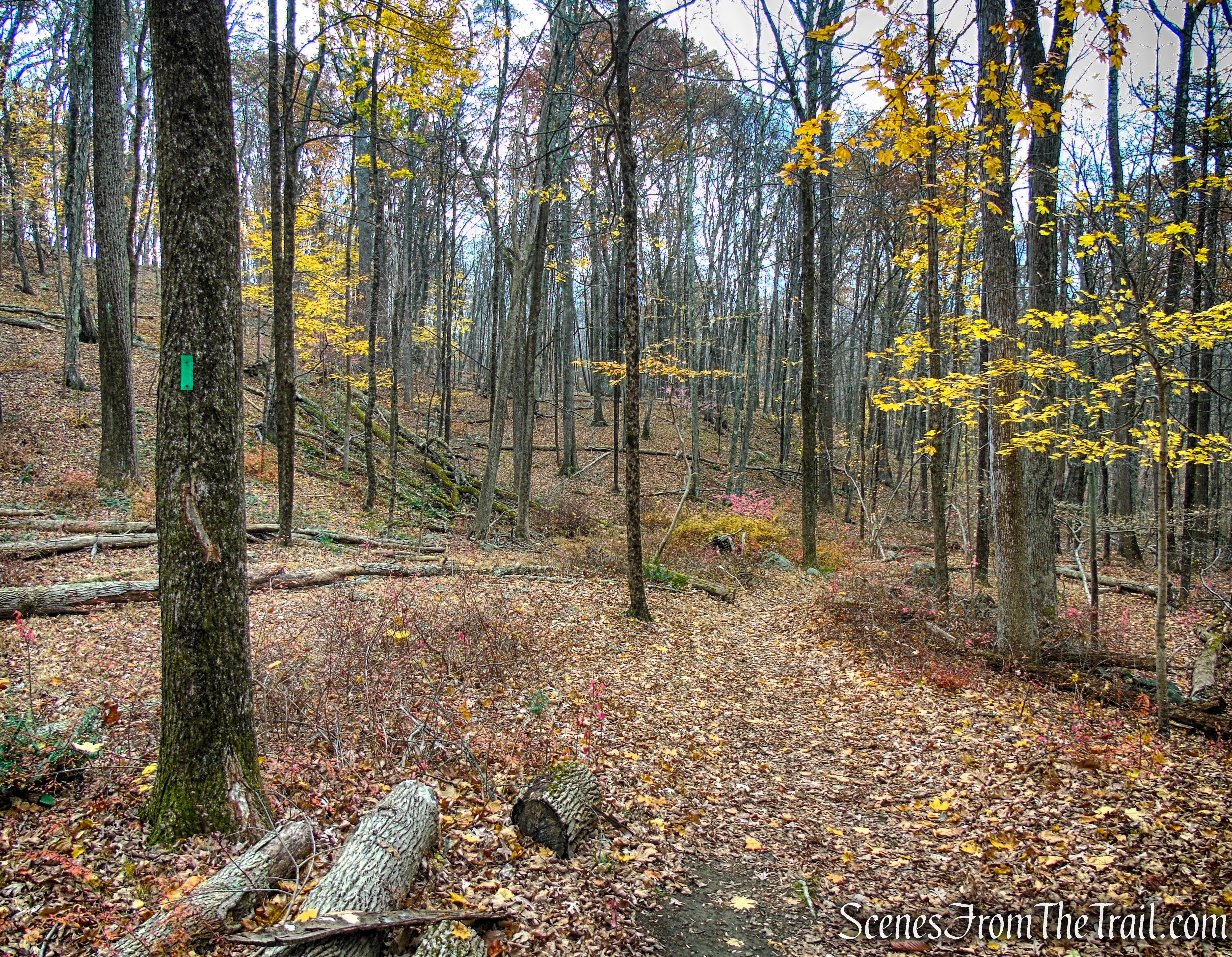 Green Trail - Leon Levy Preserve
