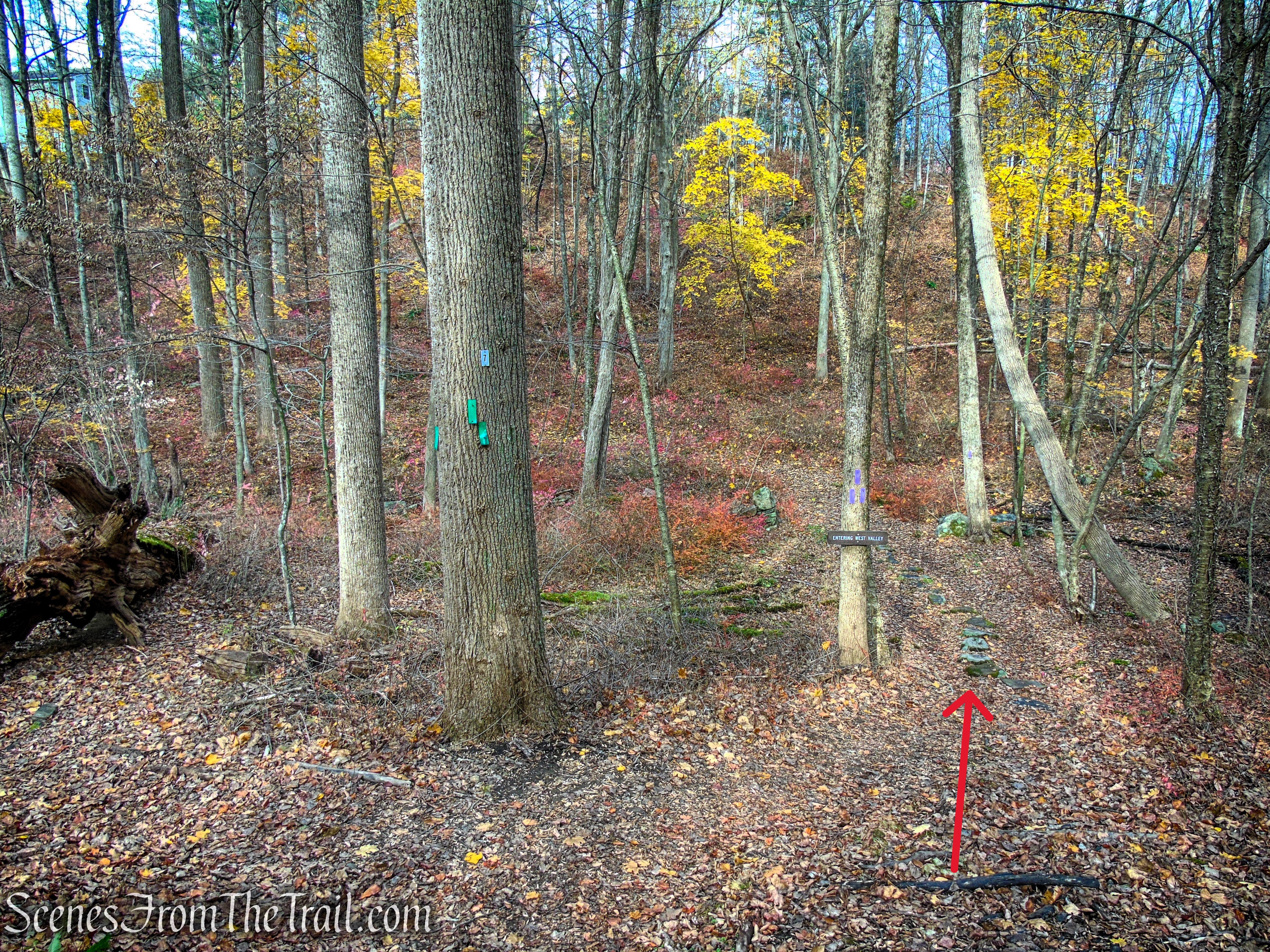 Veer right on the Purple Trail