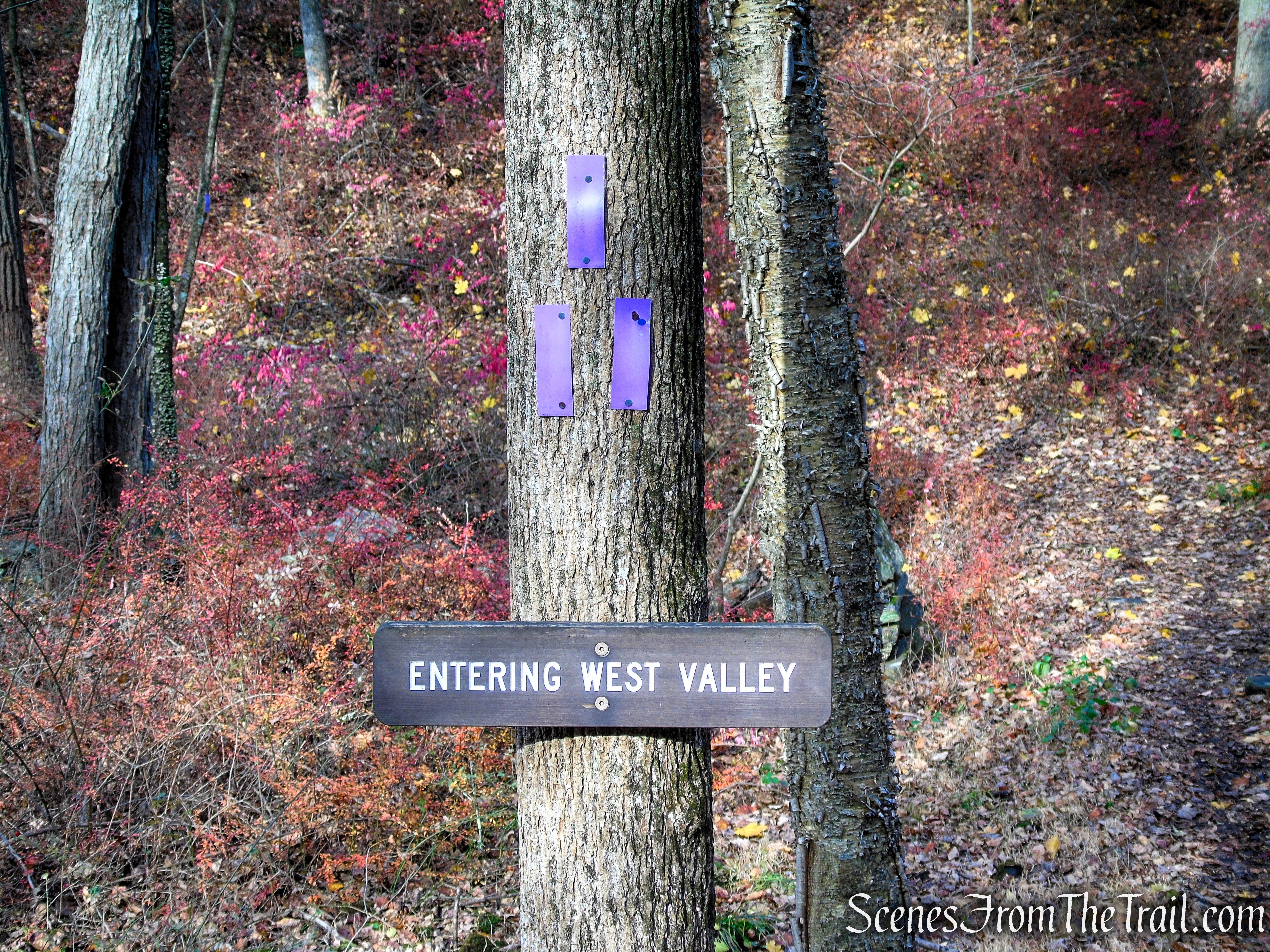Purple Trail - Leon Levy Preserve