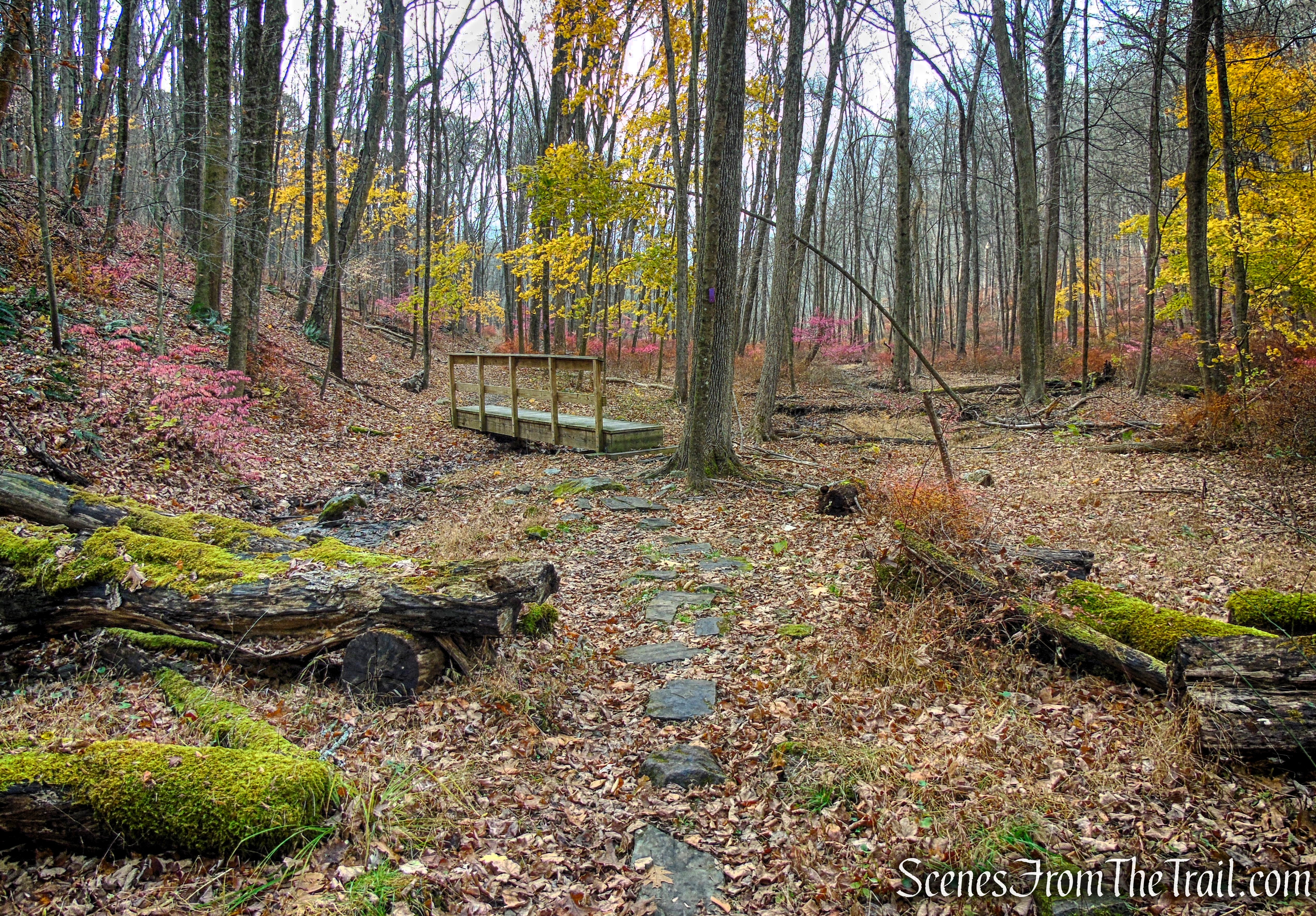 Purple Trail - Leon Levy Preserve