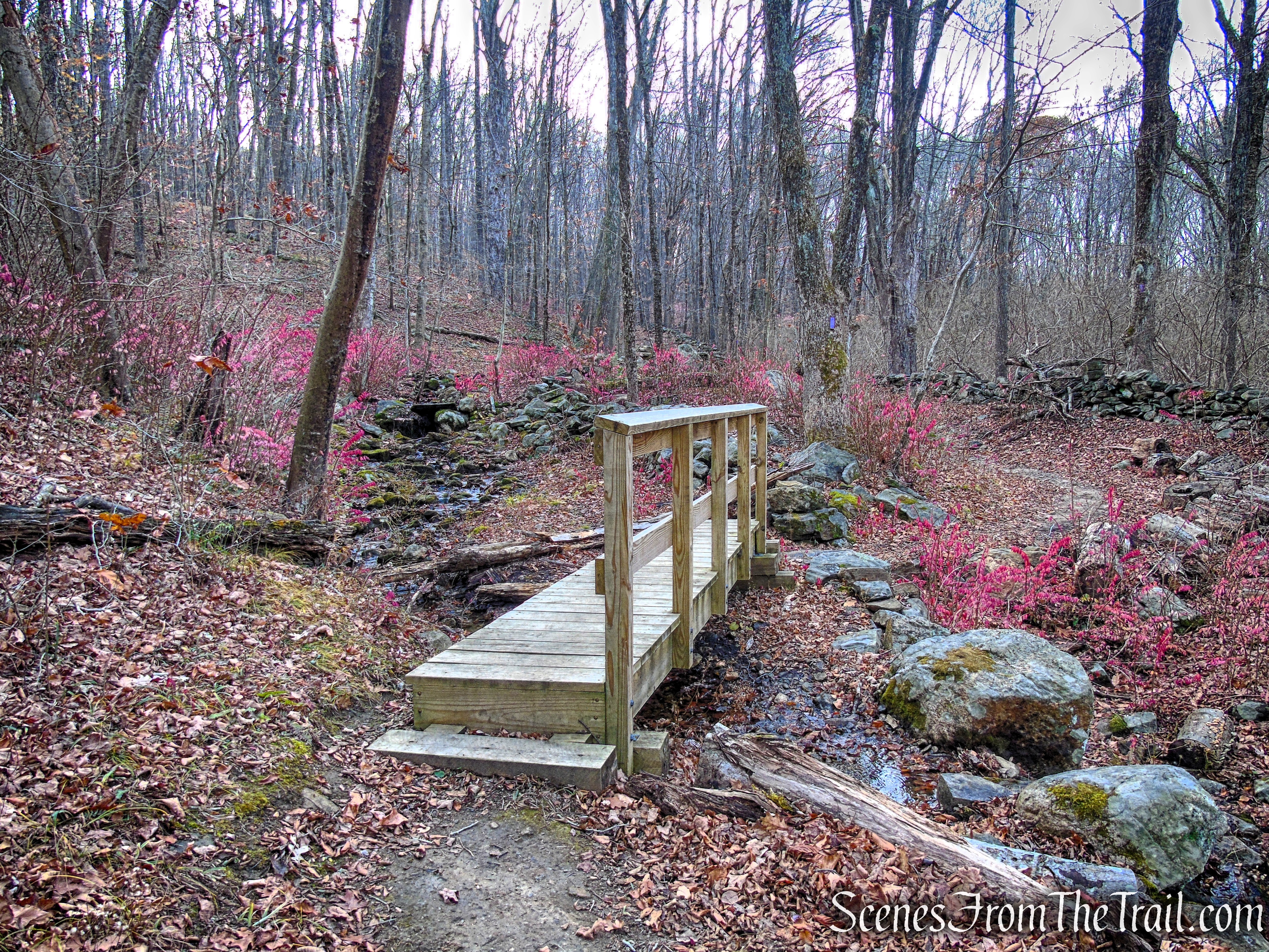 Purple Trail - Leon Levy Preserve