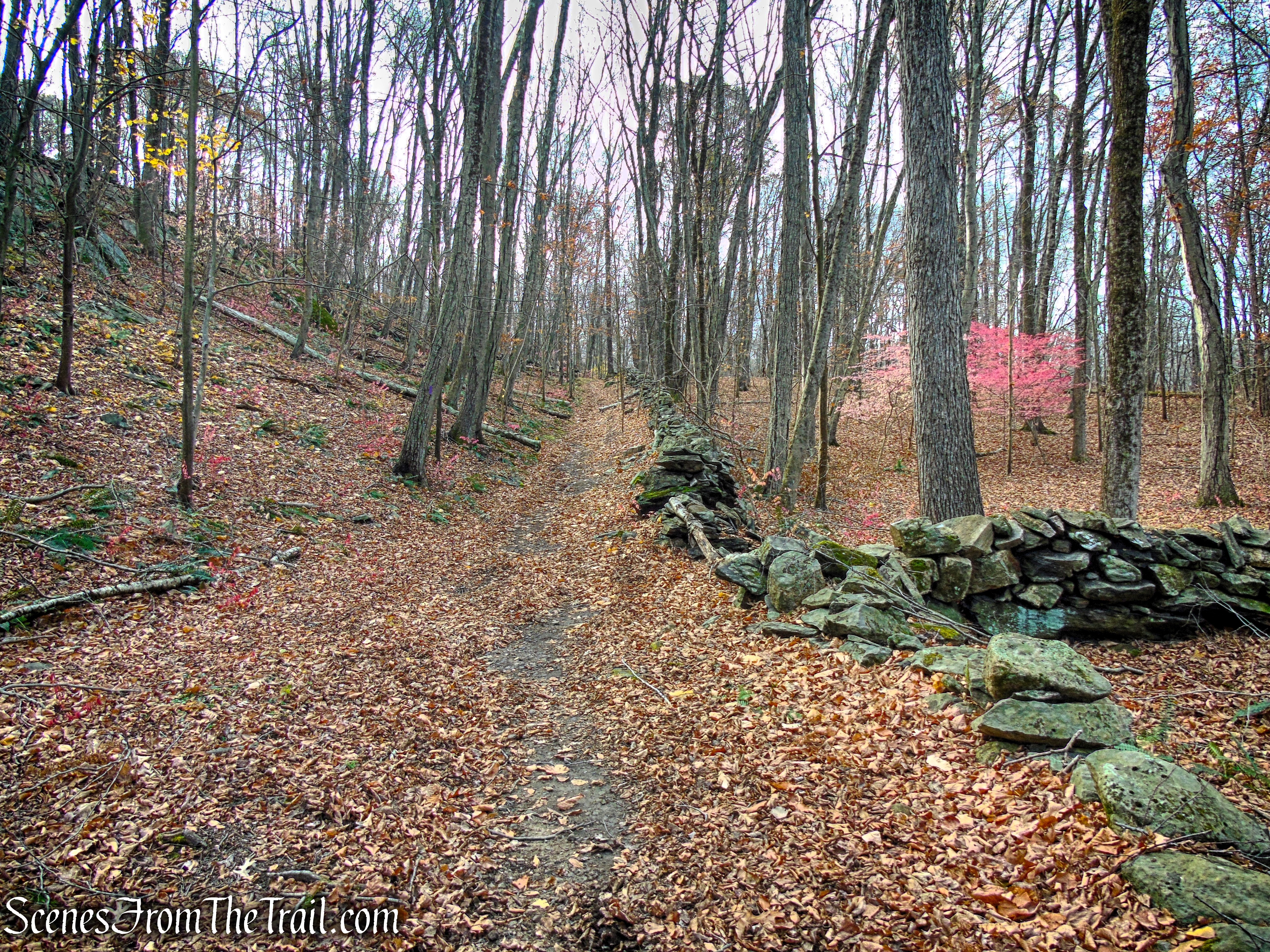 Purple Trail - Leon Levy Preserve