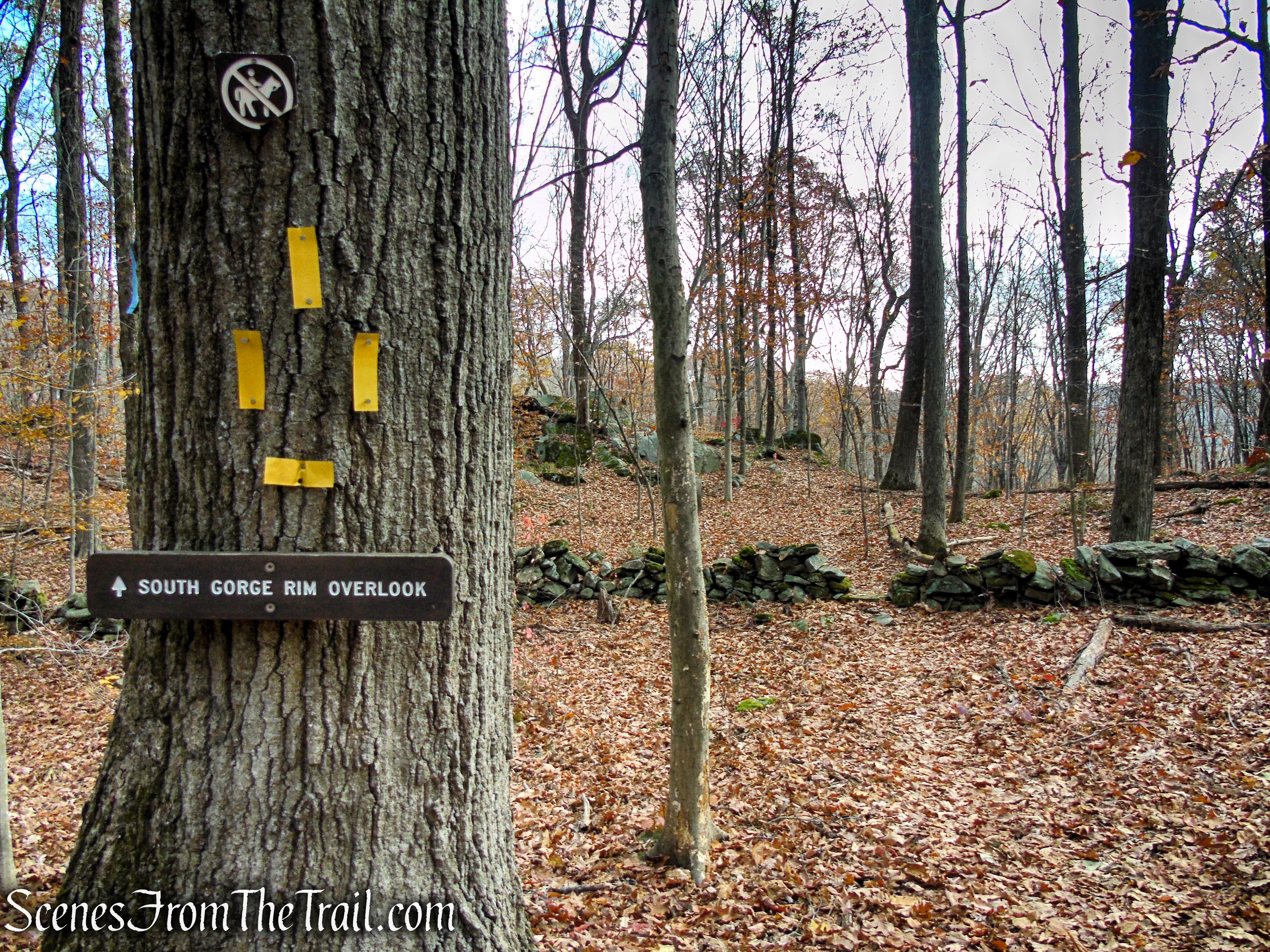 Yellow Trail - Leon Levy Preserve