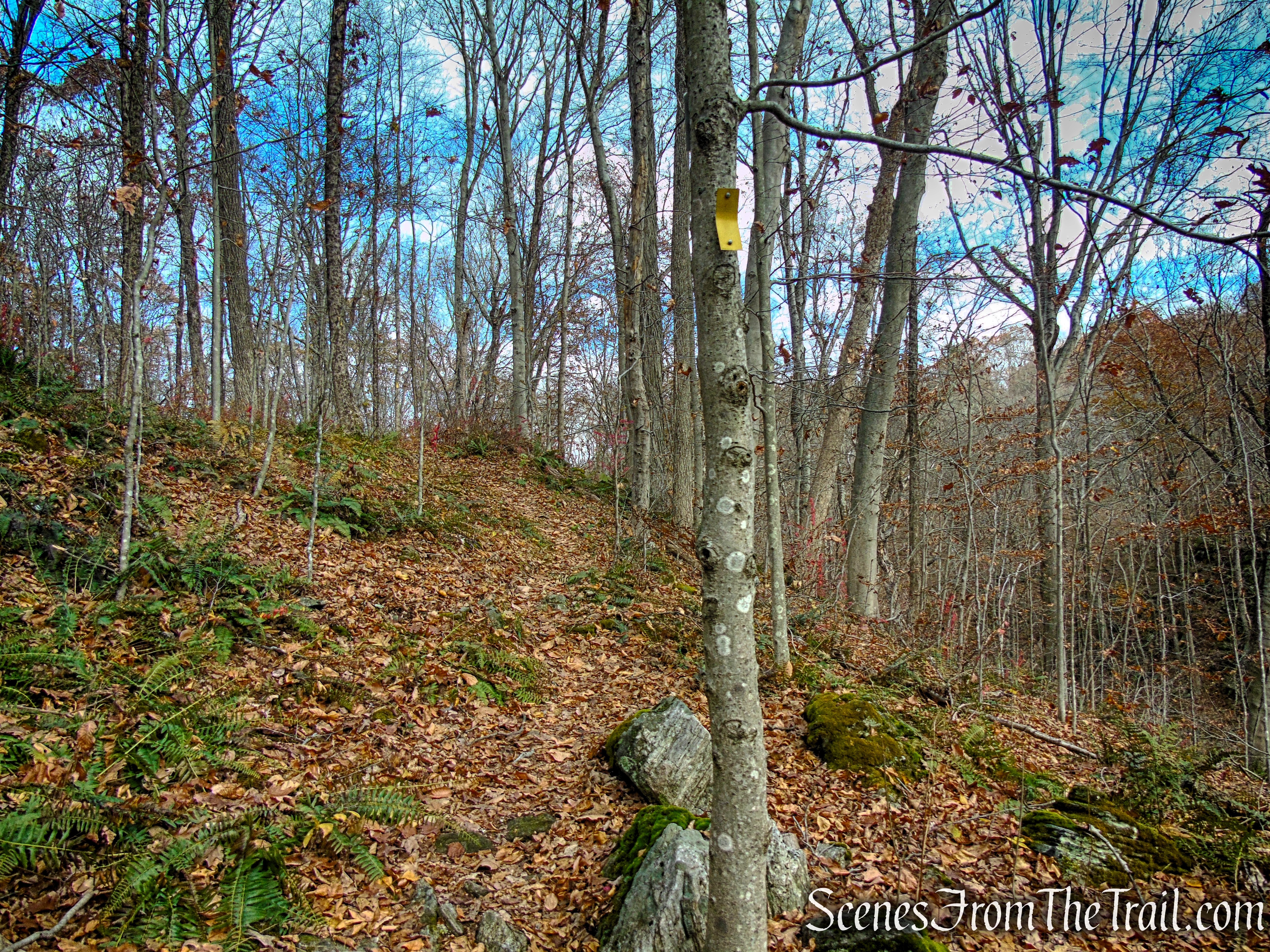 Yellow Trail - Leon Levy Preserve