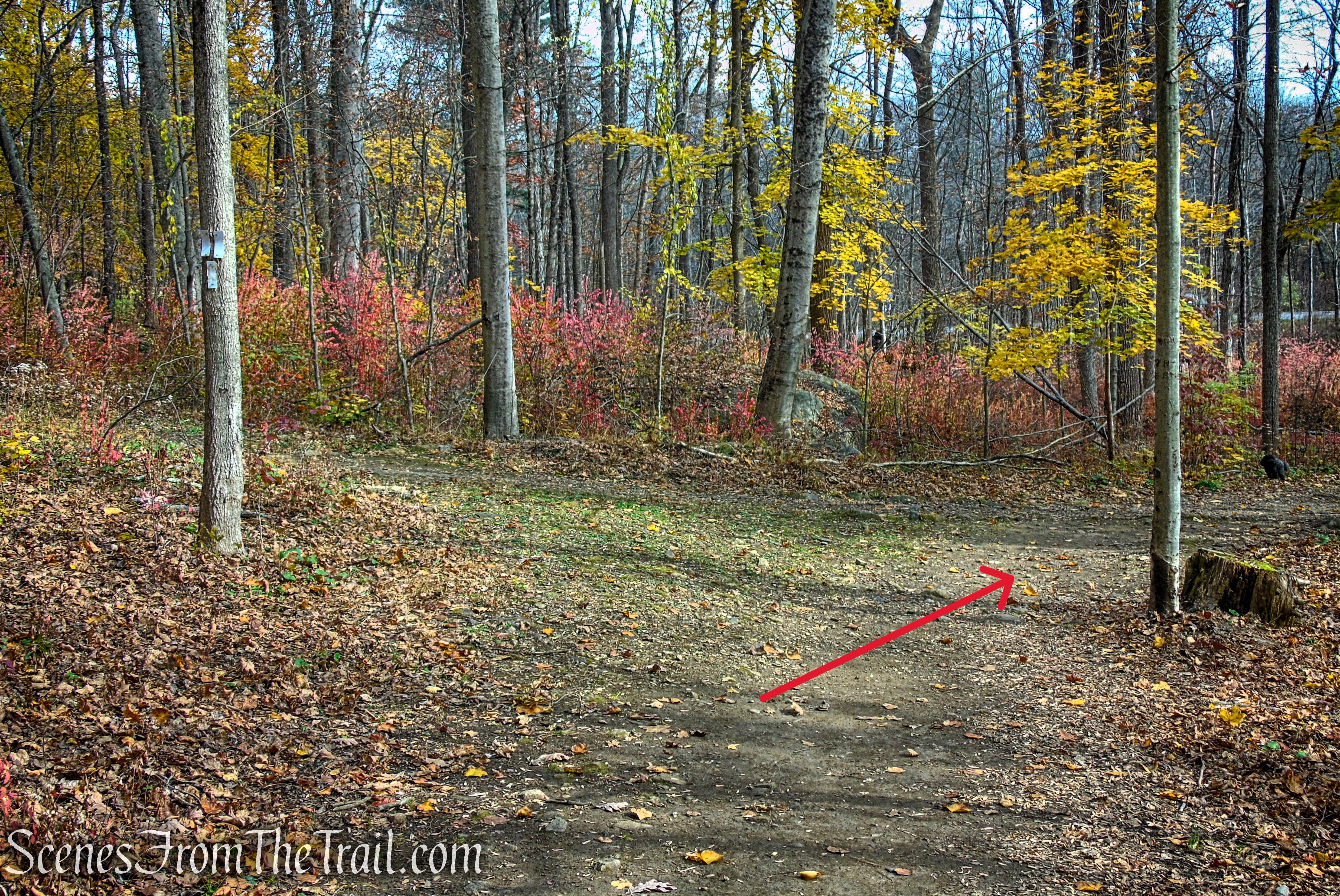 Turn right on Blue Trail