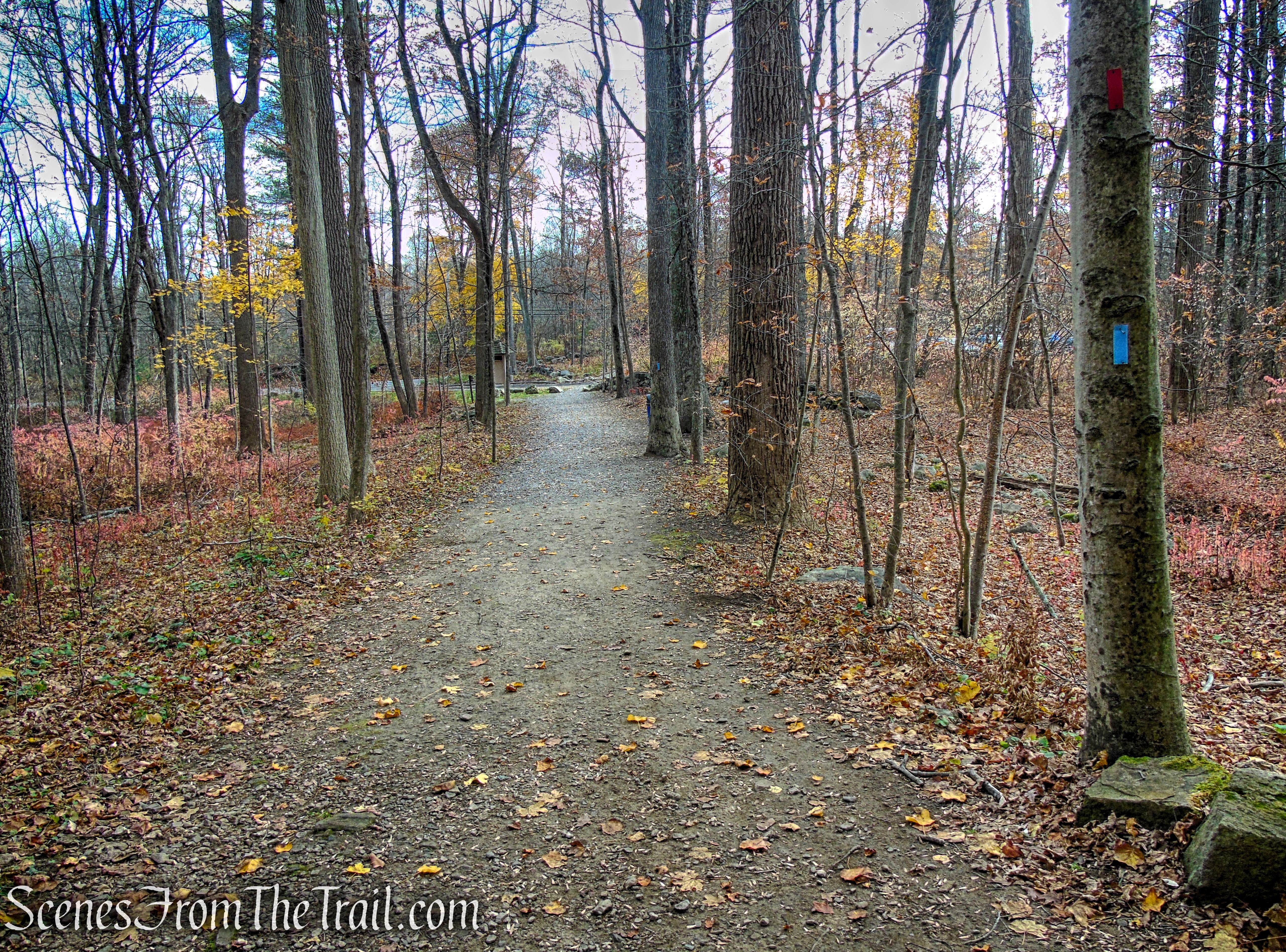 Blue Trail - Leon Levy Preserve
