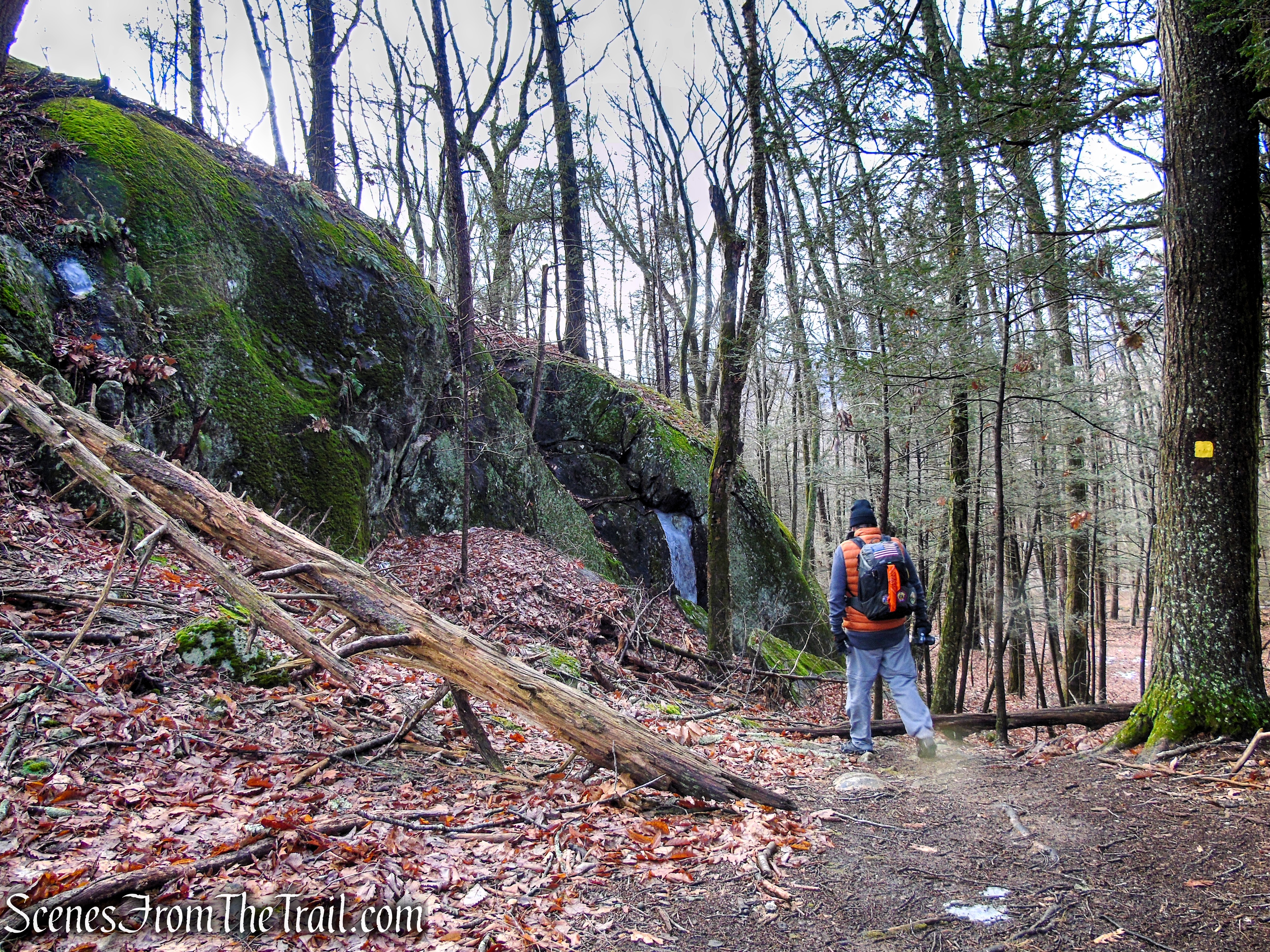 Herrick Preserve Loop