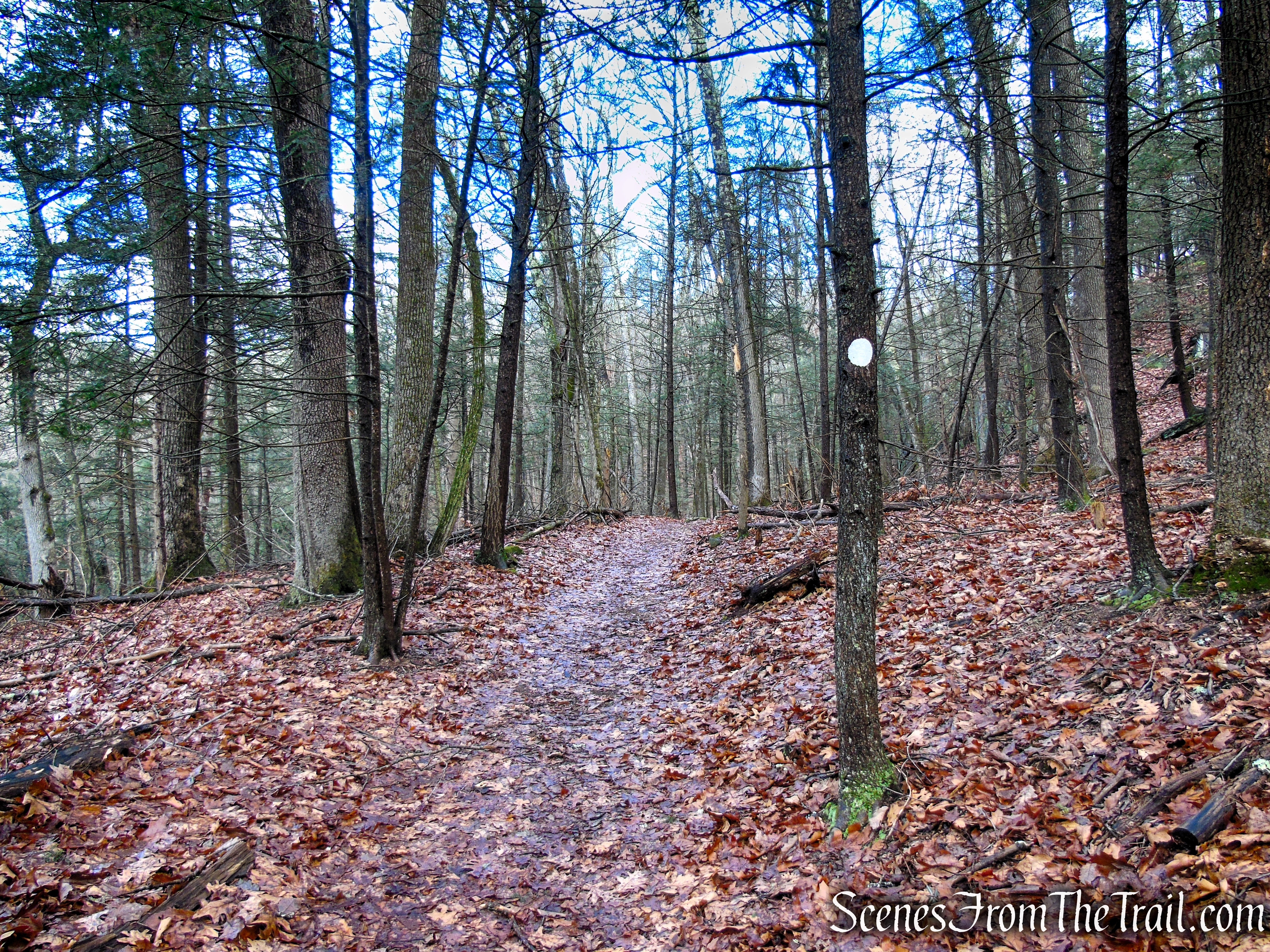 White Trail - Herrick Preserve