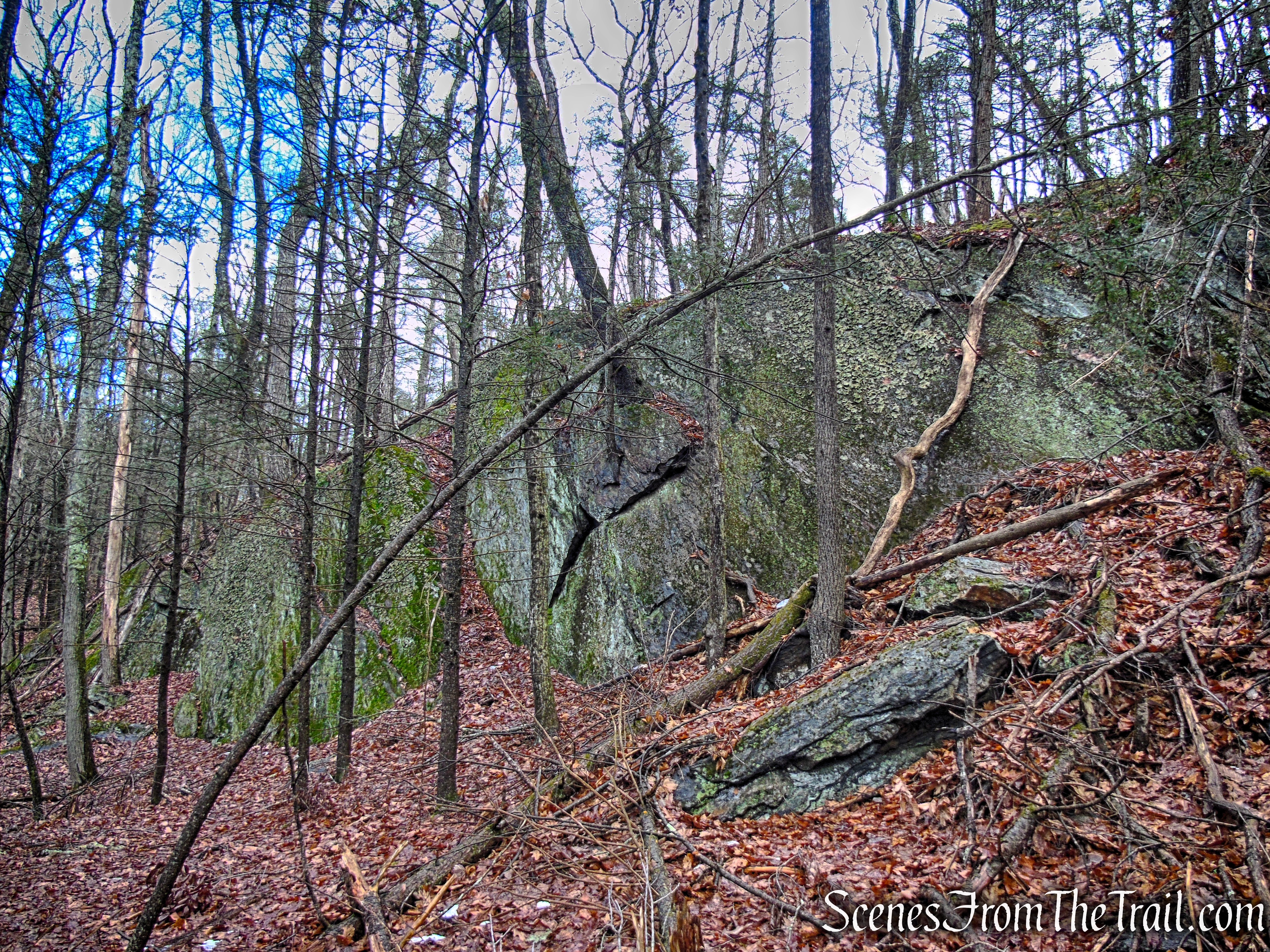 White Trail - Herrick Preserve