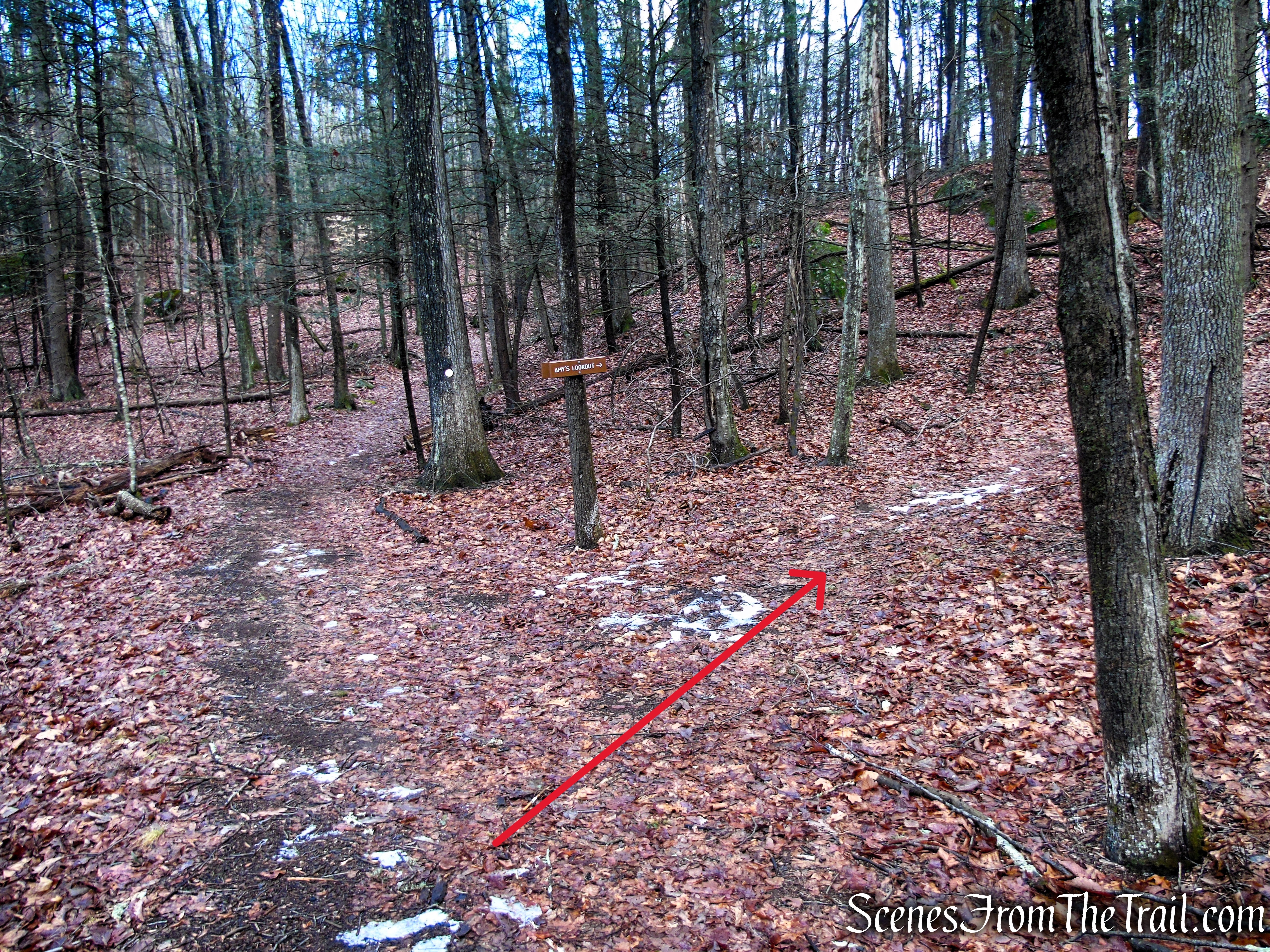 Turn right on Amy's Lookout Trail