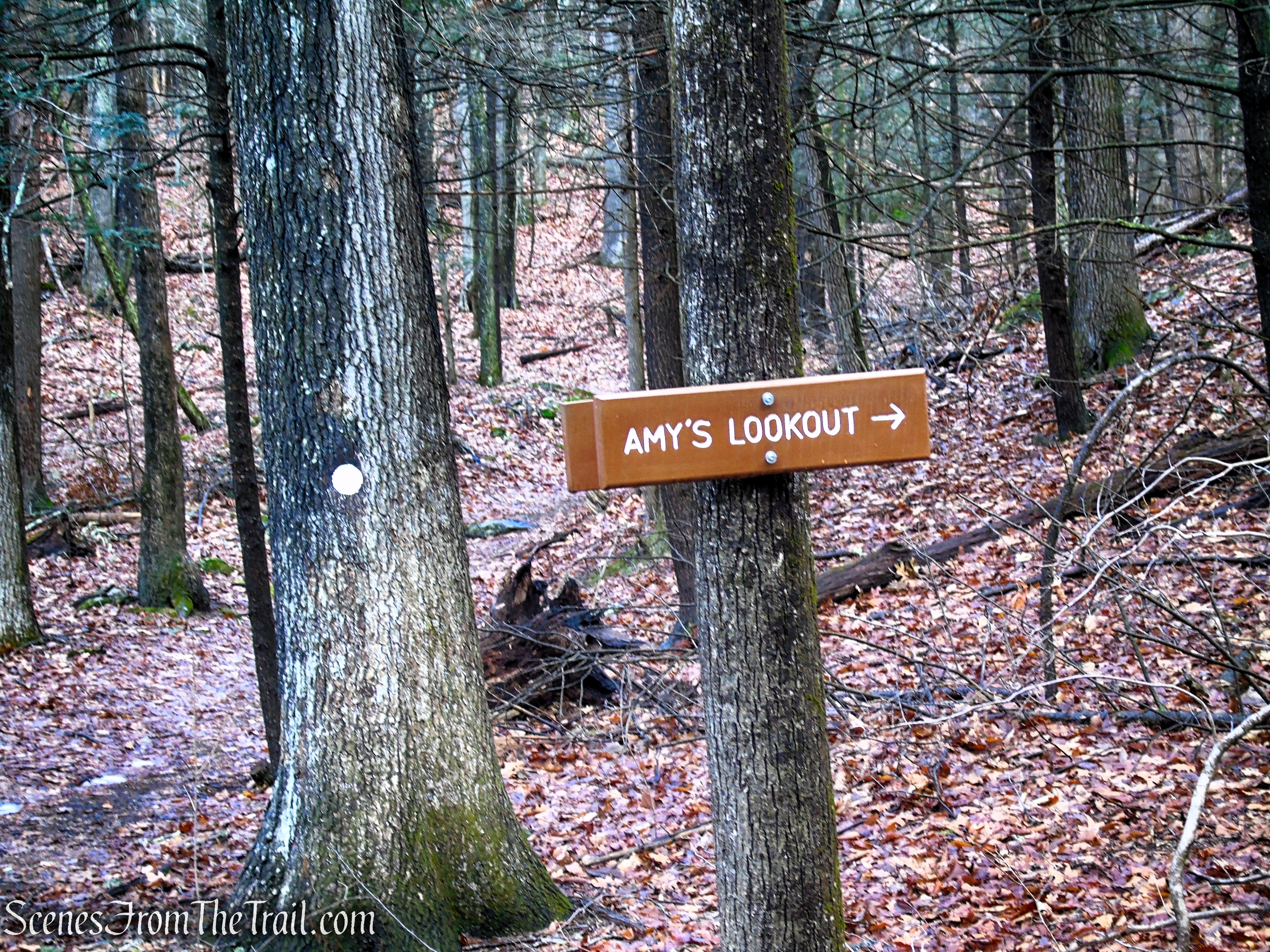 Amy's Lookout Trail - Herrick Preserve
