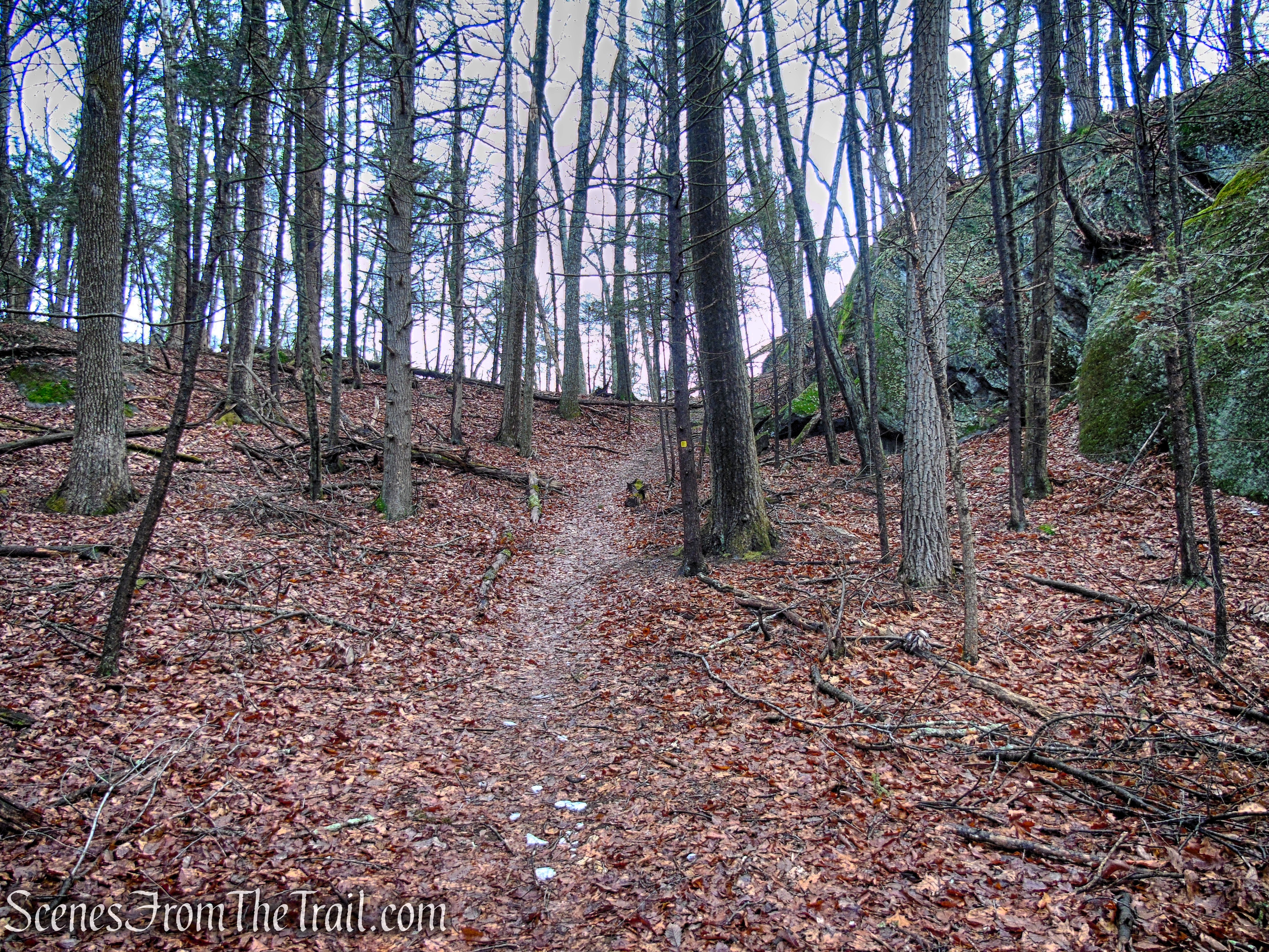 Amy's Lookout Trail - Herrick Preserve